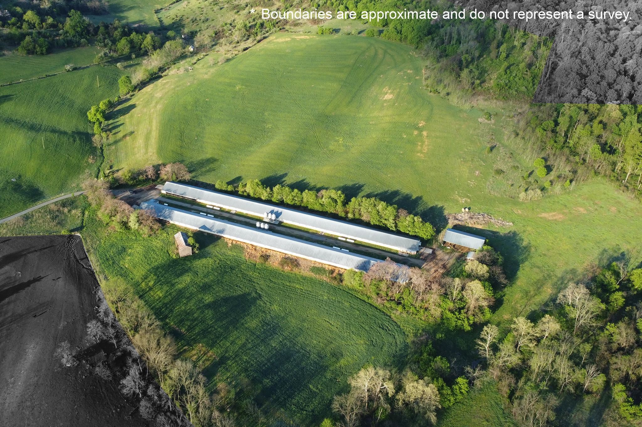 189 OAK RIDGE LN, STAUNTON, Virginia 24401, ,Farm,14,189 OAK RIDGE LN,676354 MLS # 676354