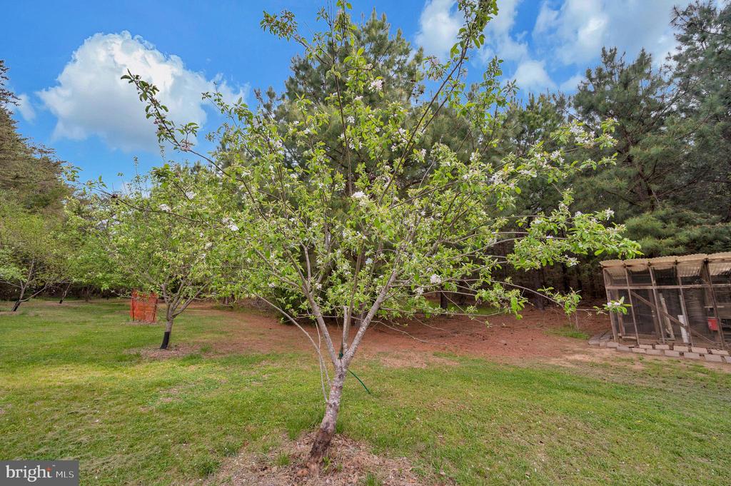 11326 WHEELER RD, SPOTSYLVANIA, Virginia 22551, 3 Bedrooms Bedrooms, ,2 BathroomsBathrooms,Residential,14,11326 WHEELER RD,VASP2041058 MLS # VASP2041058