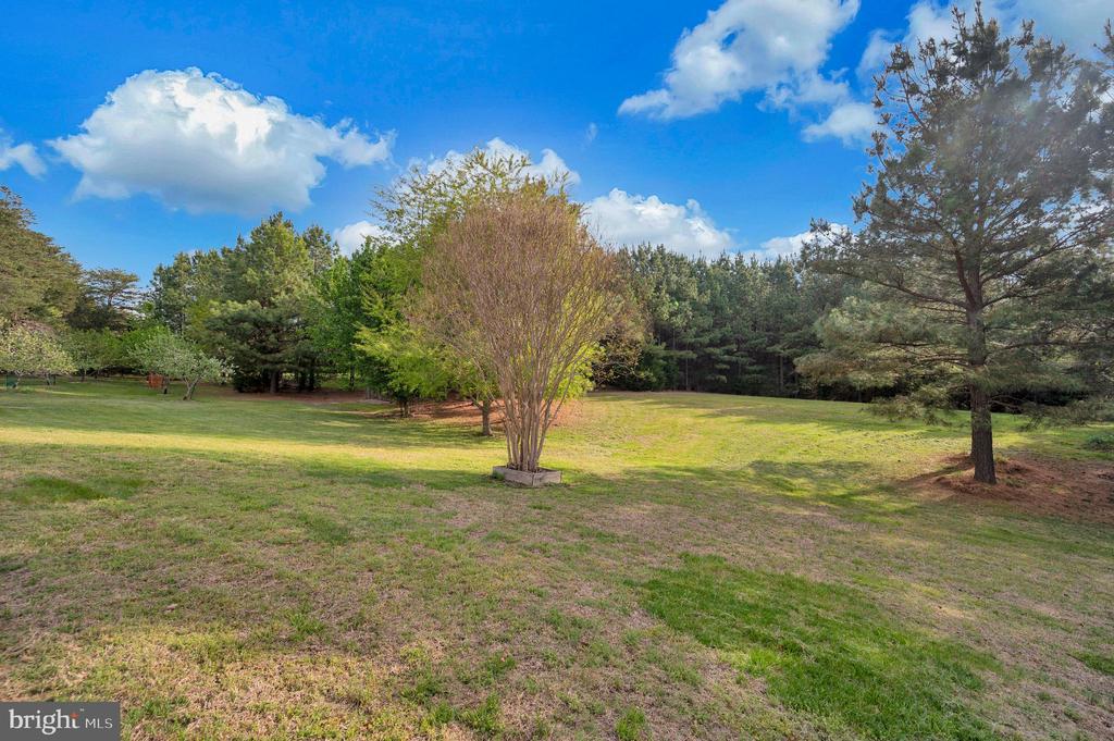 11326 WHEELER RD, SPOTSYLVANIA, Virginia 22551, 3 Bedrooms Bedrooms, ,2 BathroomsBathrooms,Residential,14,11326 WHEELER RD,VASP2041058 MLS # VASP2041058