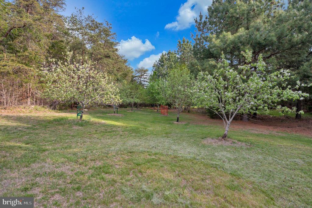 11326 WHEELER RD, SPOTSYLVANIA, Virginia 22551, 3 Bedrooms Bedrooms, ,2 BathroomsBathrooms,Residential,14,11326 WHEELER RD,VASP2041058 MLS # VASP2041058