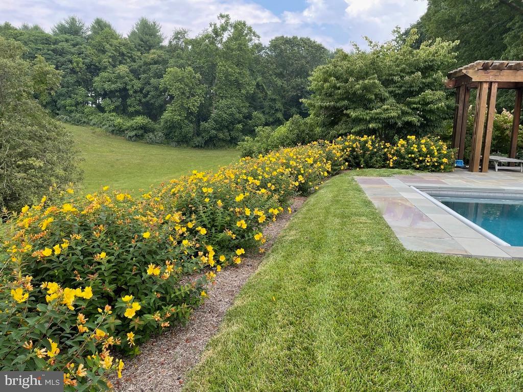 643 RICHMOND RD, AMISSVILLE, Virginia 20106, 3 Bedrooms Bedrooms, ,2 BathroomsBathrooms,Residential,14,643 RICHMOND RD,VARP2002496 MLS # VARP2002496