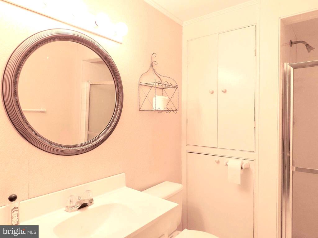 419 RUDASILL MILL RD, WOODVILLE, Virginia 22749, 2 Bedrooms Bedrooms, ,3 BathroomsBathrooms,Residential,14,419 RUDASILL MILL RD,VARP2002540 MLS # VARP2002540