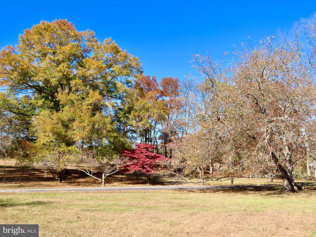 419 RUDASILL MILL RD, WOODVILLE, Virginia 22749, 2 Bedrooms Bedrooms, ,3 BathroomsBathrooms,Residential,14,419 RUDASILL MILL RD,VARP2002540 MLS # VARP2002540
