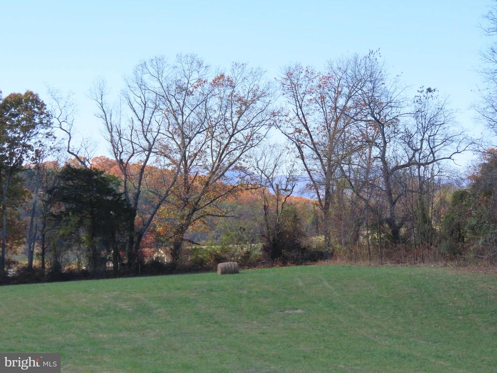 419 RUDASILL MILL RD, WOODVILLE, Virginia 22749, 2 Bedrooms Bedrooms, ,3 BathroomsBathrooms,Residential,14,419 RUDASILL MILL RD,VARP2002540 MLS # VARP2002540