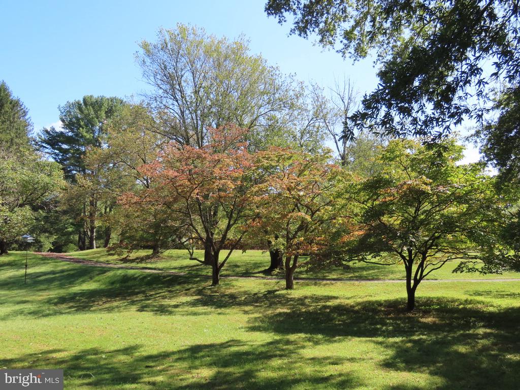 419 RUDASILL MILL RD, WOODVILLE, Virginia 22749, 2 Bedrooms Bedrooms, ,3 BathroomsBathrooms,Residential,14,419 RUDASILL MILL RD,VARP2002540 MLS # VARP2002540