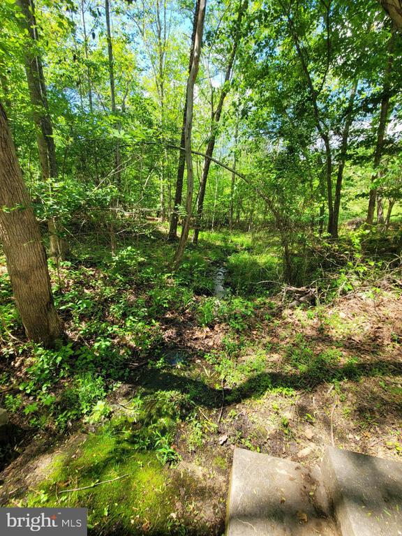 6000 HALEYS MILL RD, SPOTSYLVANIA, Virginia 22551, 3 Bedrooms Bedrooms, ,2 BathroomsBathrooms,Residential,14,6000 HALEYS MILL RD,VASP2041068 MLS # VASP2041068
