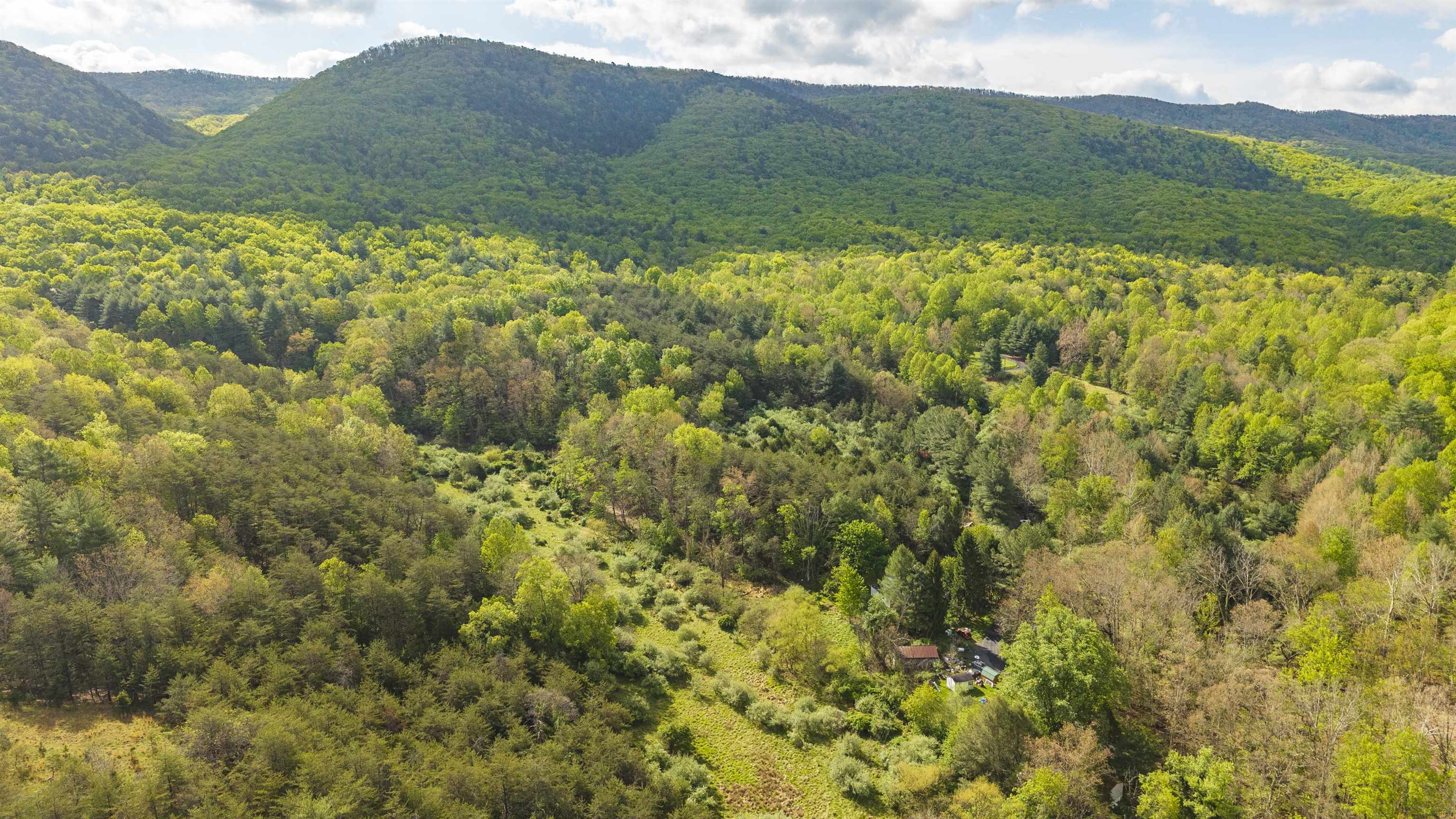 161 GLOVER RUN, GOSHEN, Virginia 24439, ,Farm,14,161 GLOVER RUN,676631 MLS # 676631