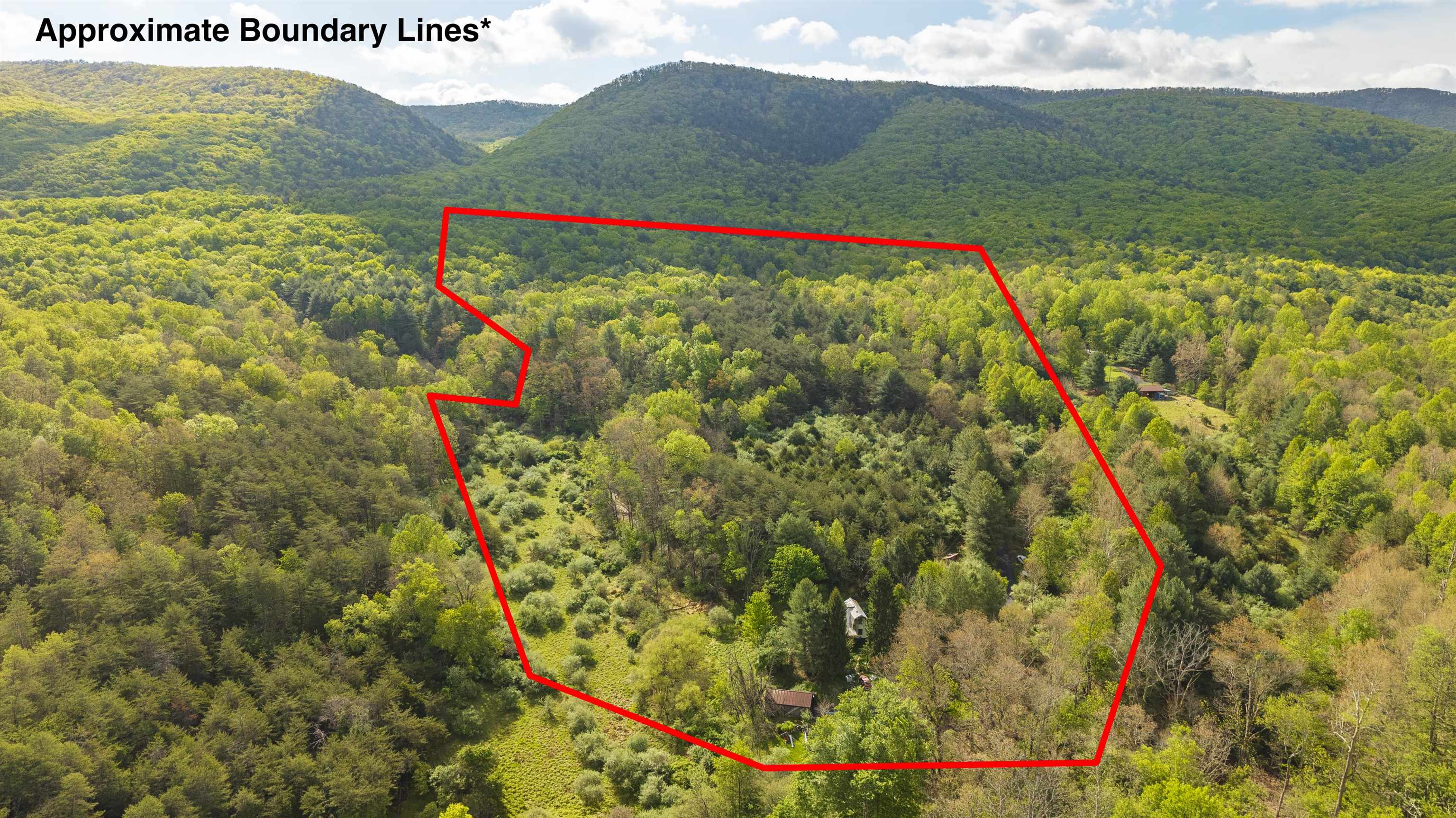 161 GLOVER RUN, GOSHEN, Virginia 24439, ,Farm,14,161 GLOVER RUN,676631 MLS # 676631