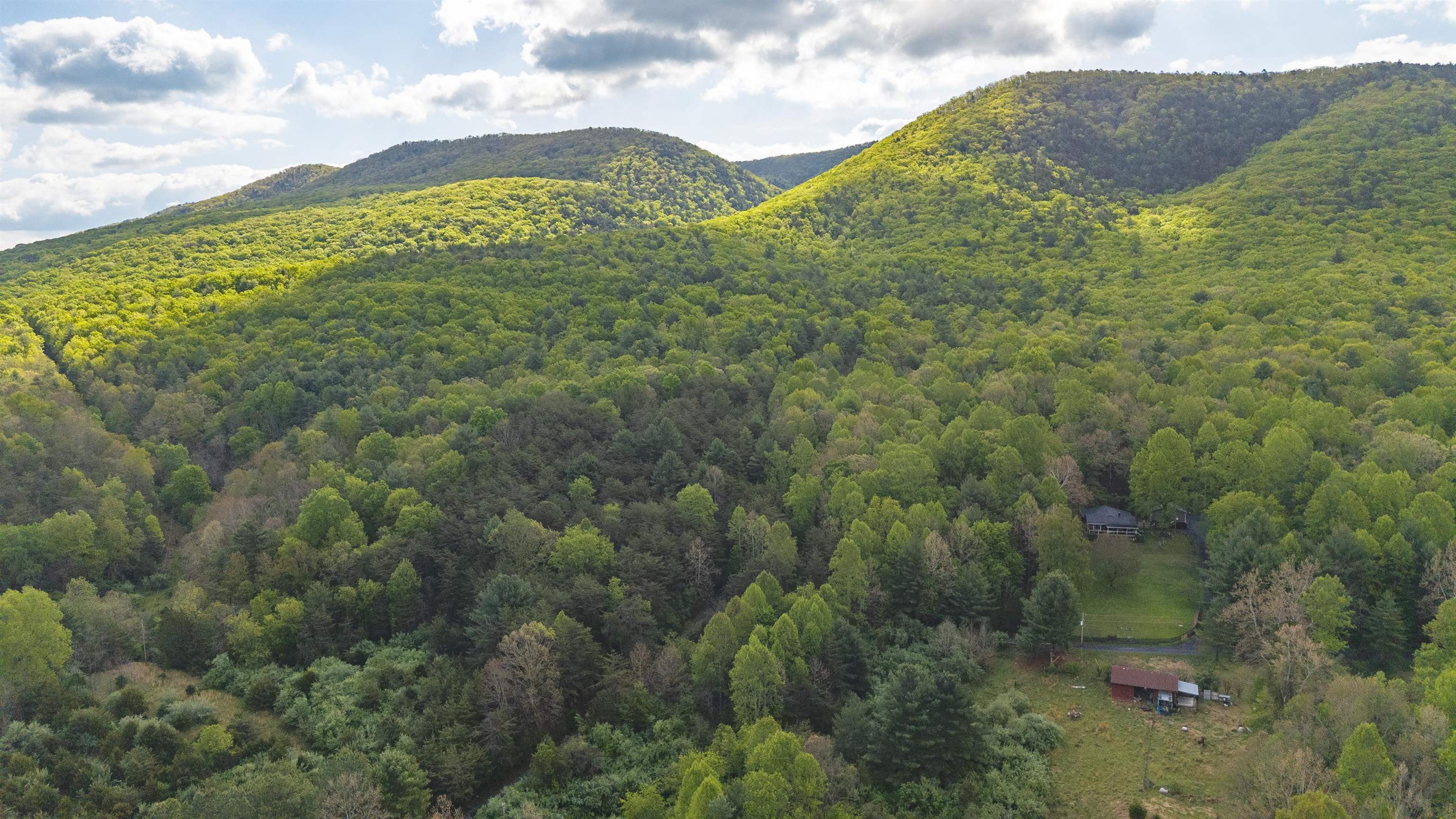 161 GLOVER RUN, GOSHEN, Virginia 24439, ,Farm,14,161 GLOVER RUN,676631 MLS # 676631
