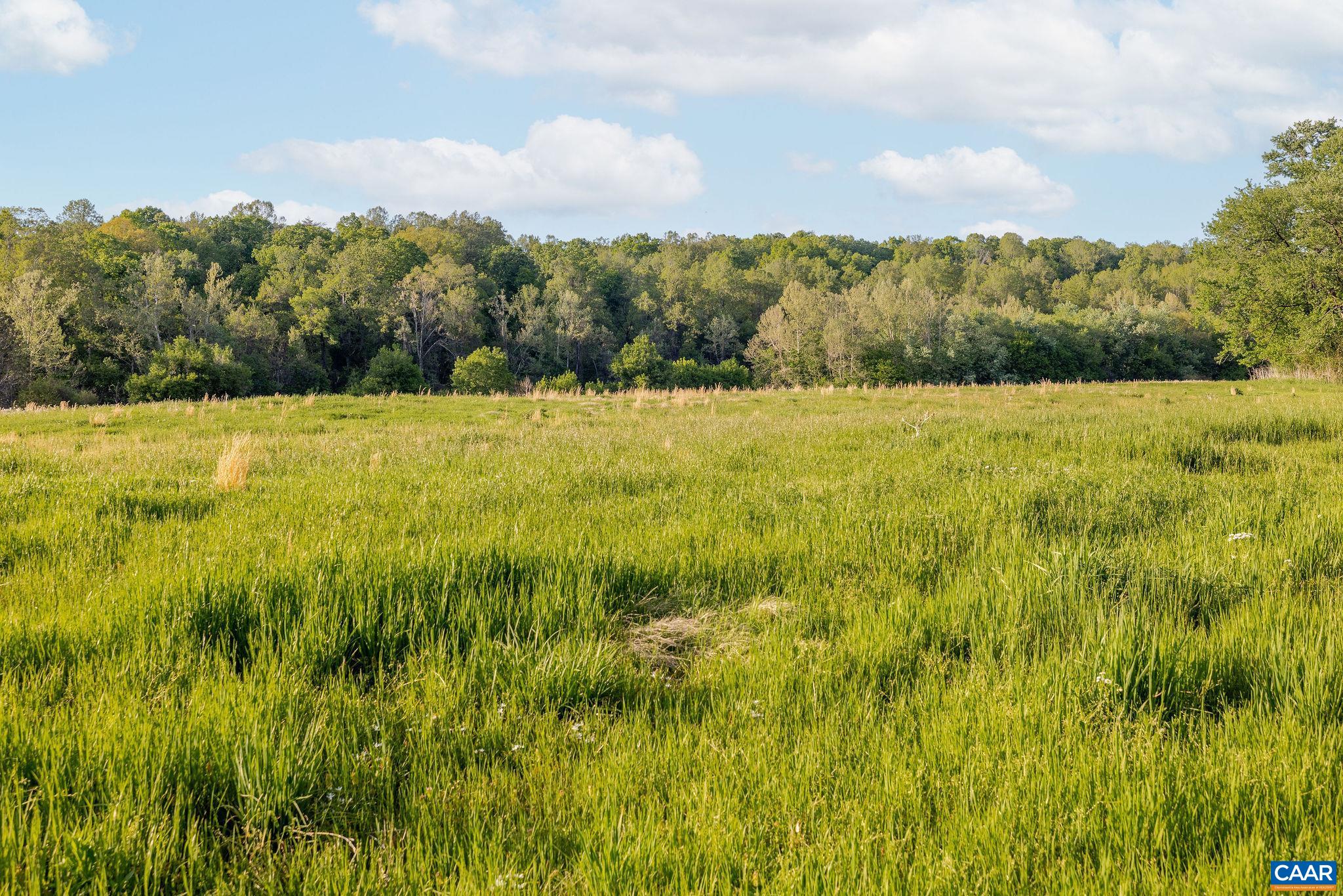 137 acres JAMES RIVER RD, HOWARDSVILLE, Virginia 24562, ,Farm,14,137 acres JAMES RIVER RD,676506 MLS # 676506