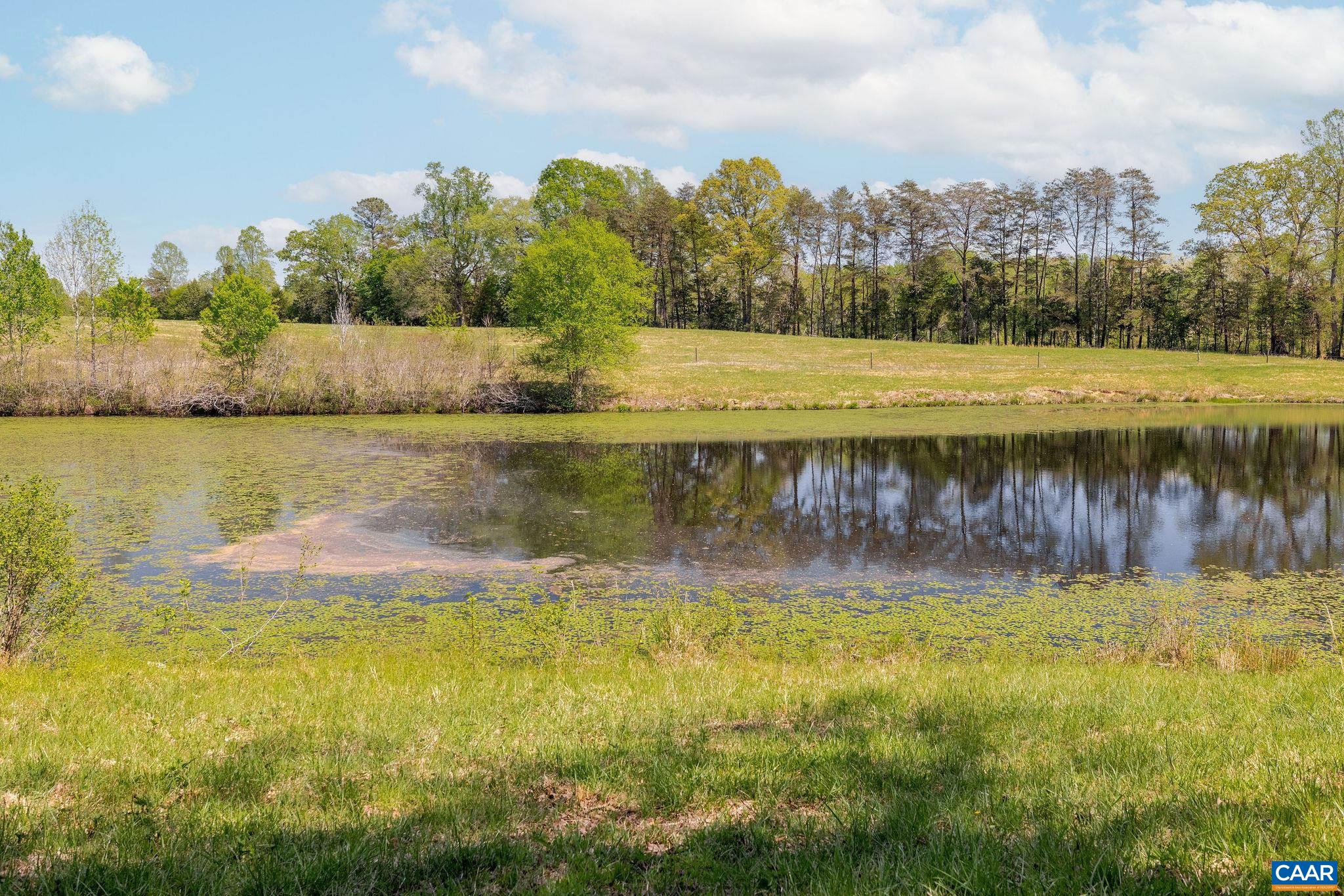 TBD CEDAR PLAINS RD, SANDY HOOK, Virginia 23153, ,Farm,14,TBD CEDAR PLAINS RD,676685 MLS # 676685