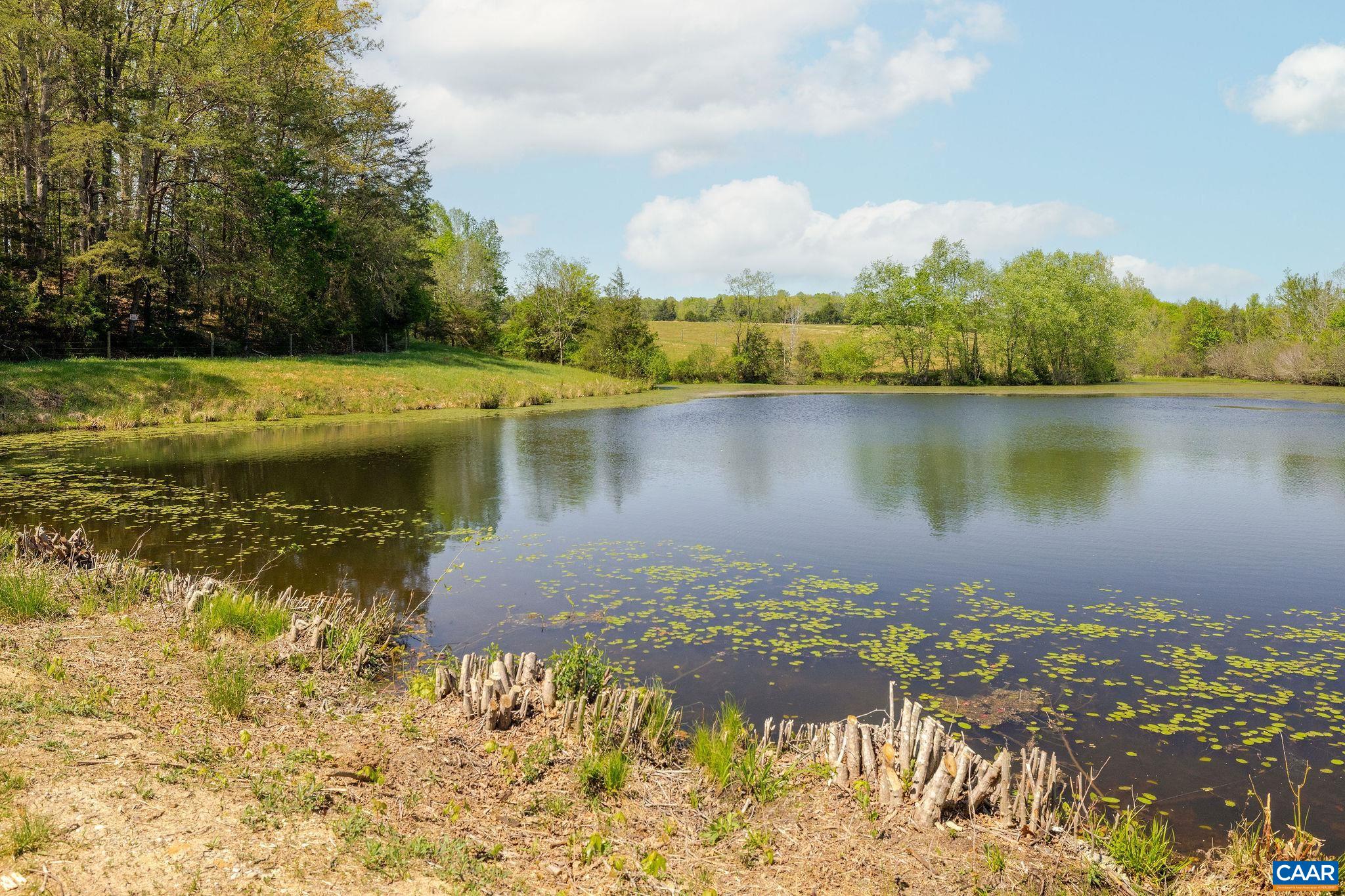 TBD CEDAR PLAINS RD, SANDY HOOK, Virginia 23153, ,Farm,14,TBD CEDAR PLAINS RD,676685 MLS # 676685