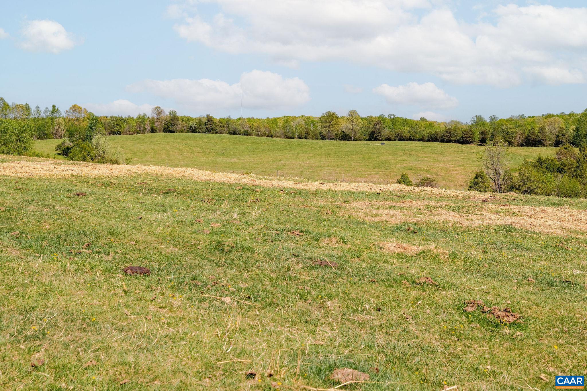 TBD CEDAR PLAINS RD, SANDY HOOK, Virginia 23153, ,Farm,14,TBD CEDAR PLAINS RD,676685 MLS # 676685