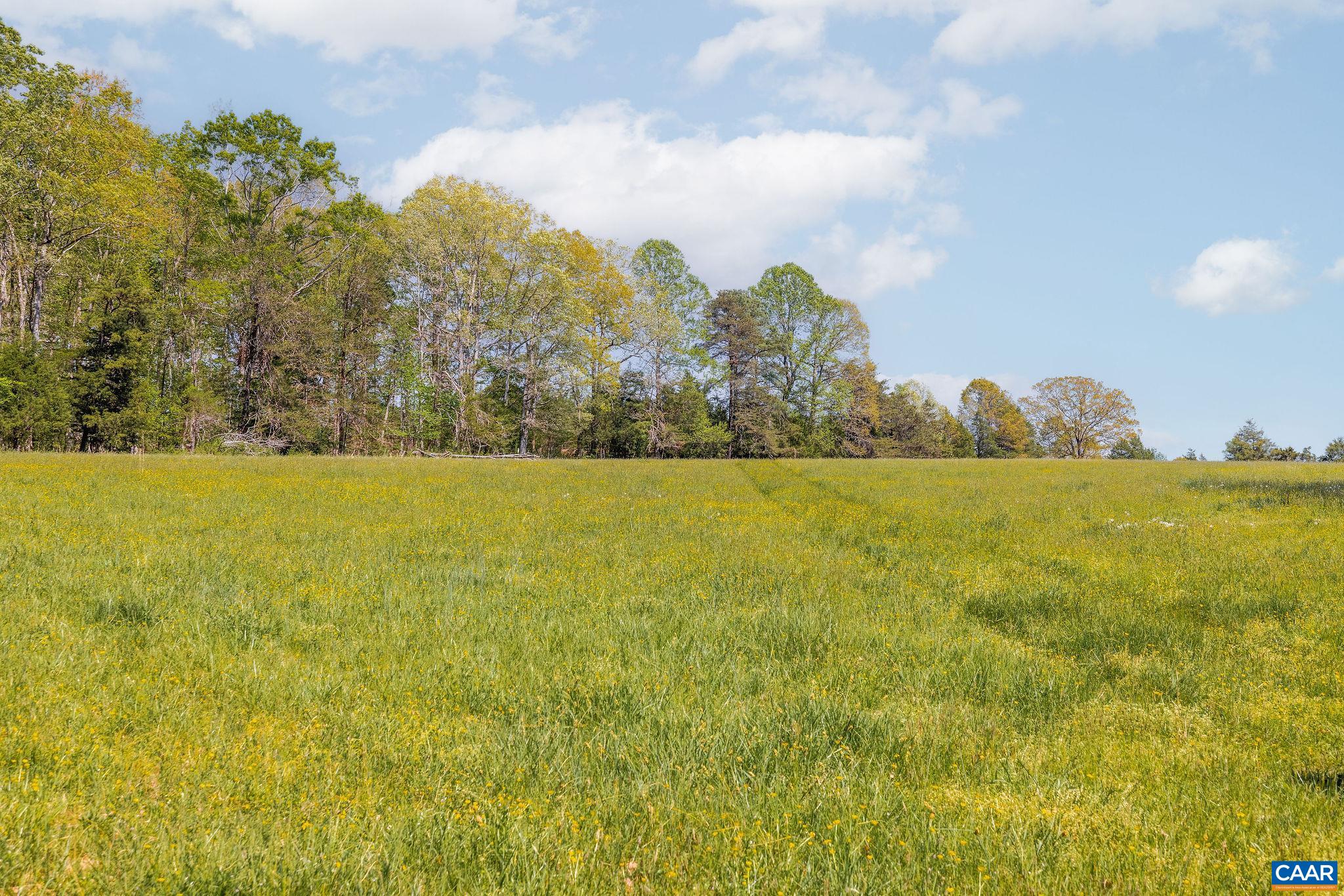 TBD CEDAR PLAINS RD, SANDY HOOK, Virginia 23153, ,Farm,14,TBD CEDAR PLAINS RD,676685 MLS # 676685