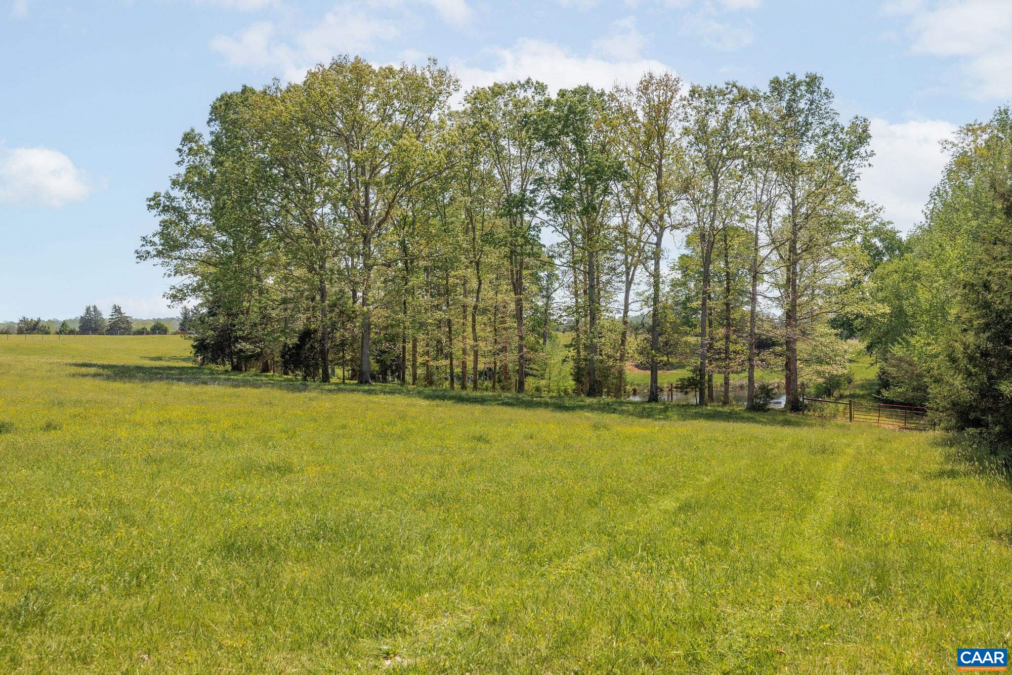 TBD CEDAR PLAINS RD, SANDY HOOK, Virginia 23153, ,Farm,14,TBD CEDAR PLAINS RD,676685 MLS # 676685