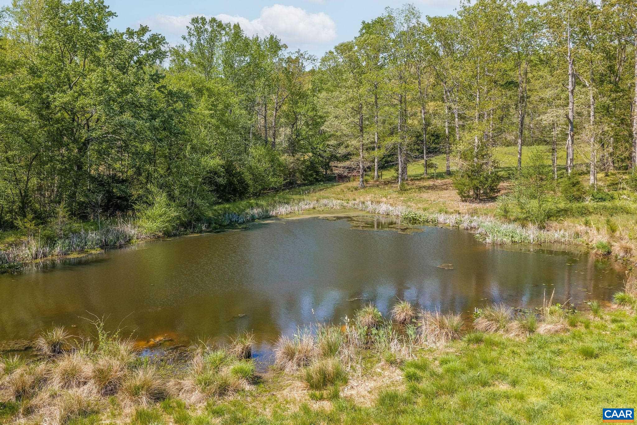 TBD CEDAR PLAINS RD, SANDY HOOK, Virginia 23153, ,Farm,14,TBD CEDAR PLAINS RD,676685 MLS # 676685
