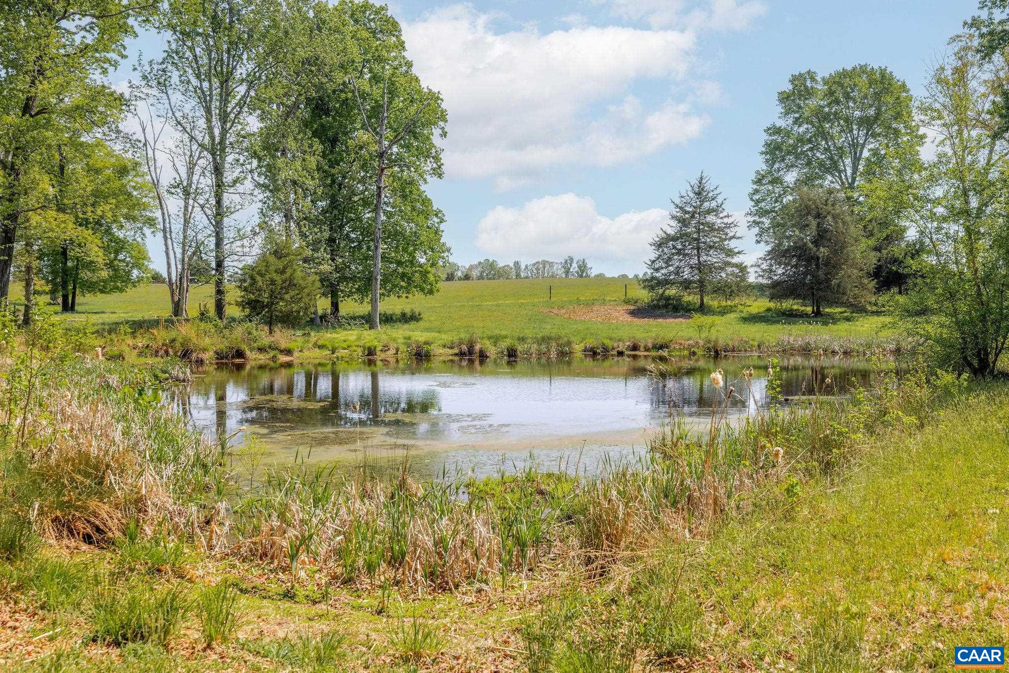 TBD CEDAR PLAINS RD, SANDY HOOK, Virginia 23153, ,Farm,14,TBD CEDAR PLAINS RD,676685 MLS # 676685