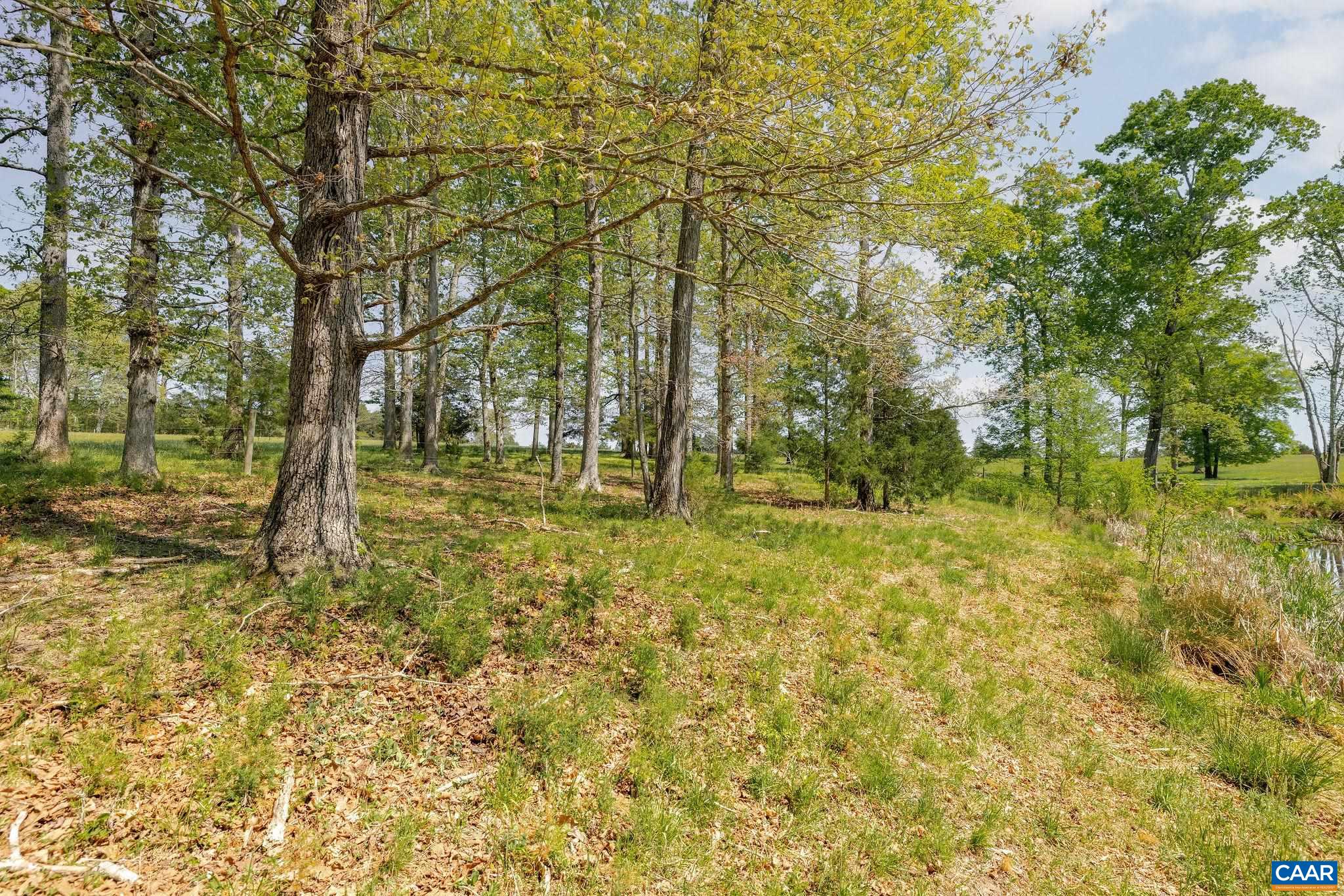 TBD CEDAR PLAINS RD, SANDY HOOK, Virginia 23153, ,Farm,14,TBD CEDAR PLAINS RD,676685 MLS # 676685