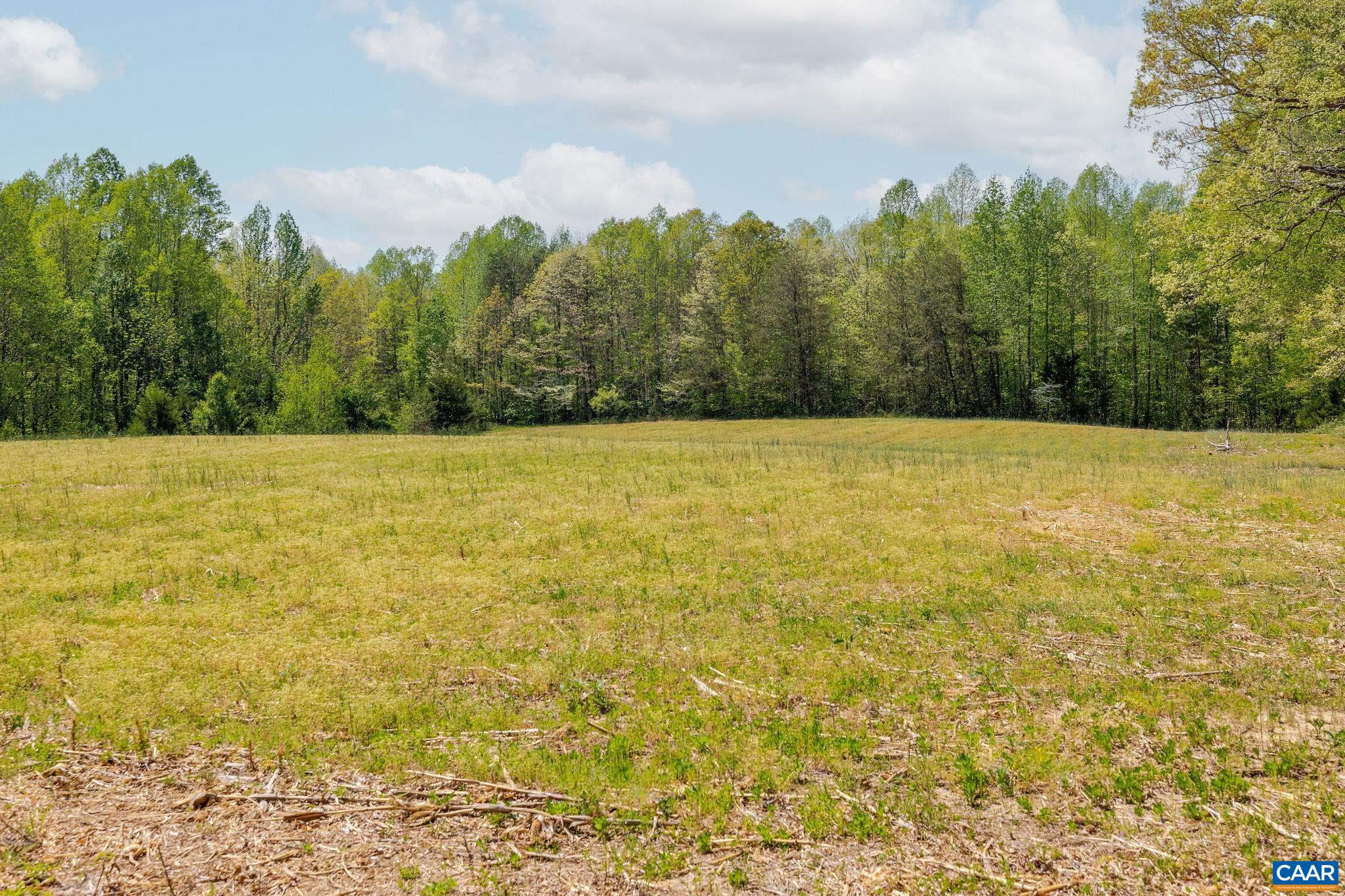 TBD CEDAR PLAINS RD, SANDY HOOK, Virginia 23153, ,Farm,14,TBD CEDAR PLAINS RD,676685 MLS # 676685