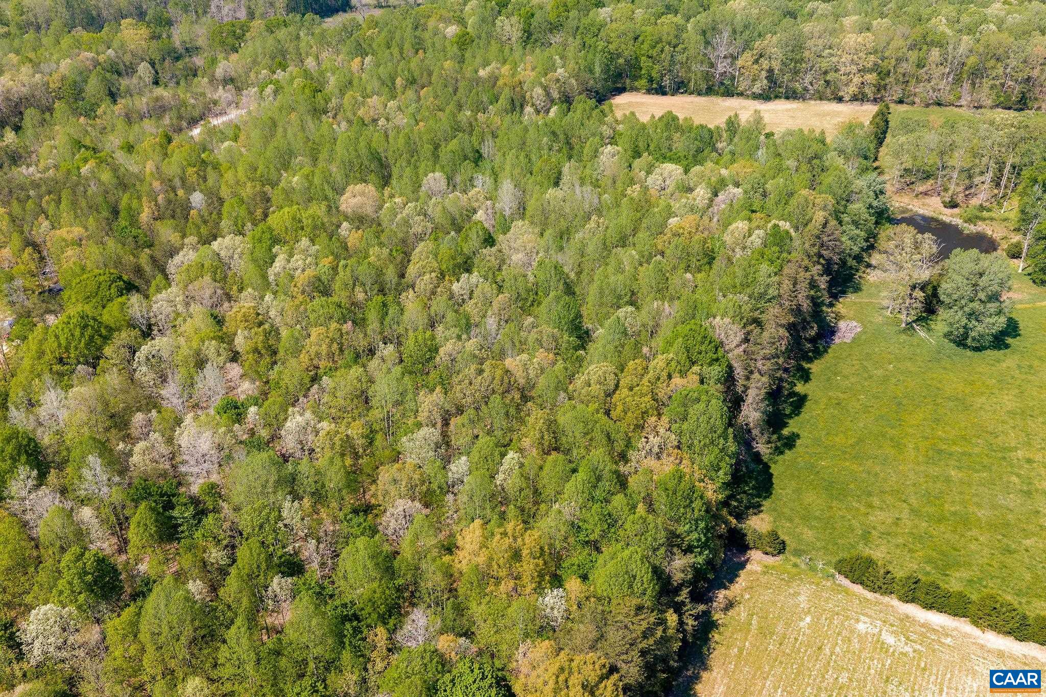 TBD CEDAR PLAINS RD, SANDY HOOK, Virginia 23153, ,Farm,14,TBD CEDAR PLAINS RD,676685 MLS # 676685