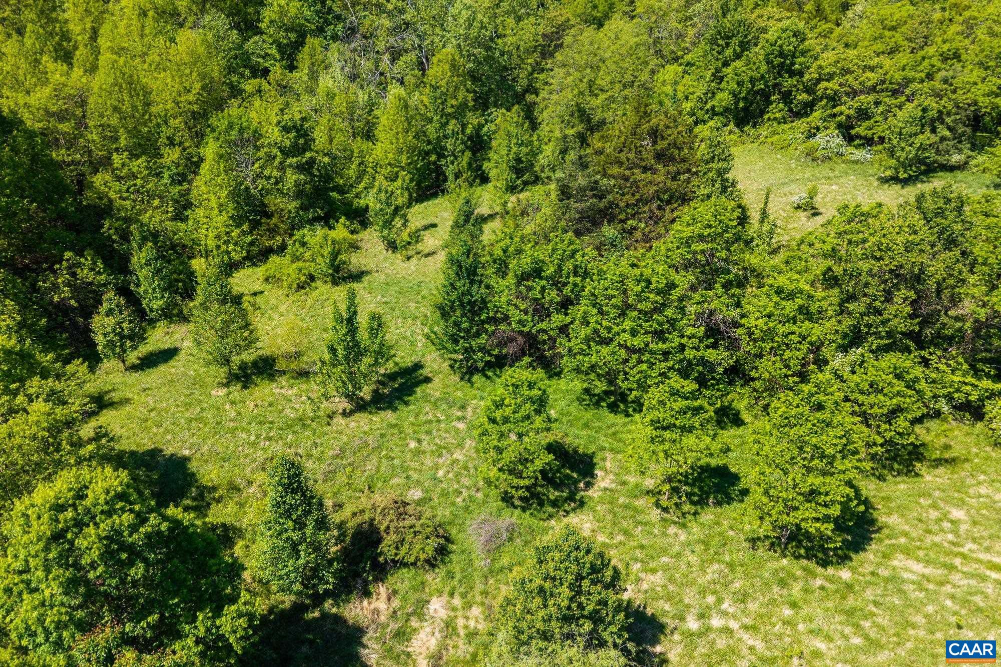2255 BOONESVILLE RD, DYKE, Virginia 22935, ,Farm,14,2255 BOONESVILLE RD,676749 MLS # 676749
