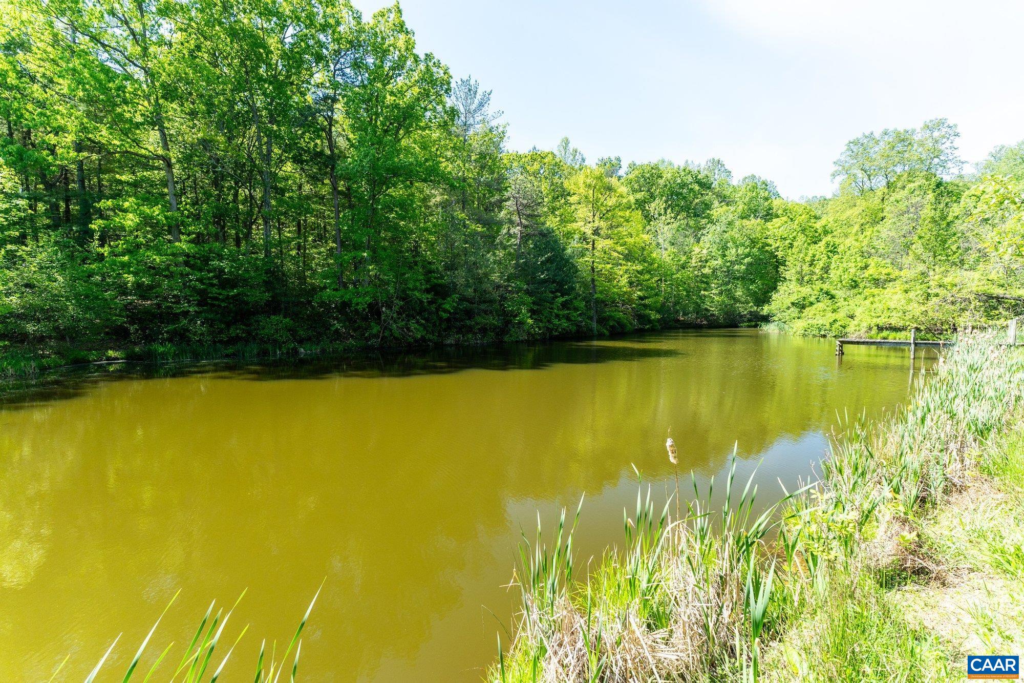 2255 BOONESVILLE RD, DYKE, Virginia 22935, ,Farm,14,2255 BOONESVILLE RD,676749 MLS # 676749