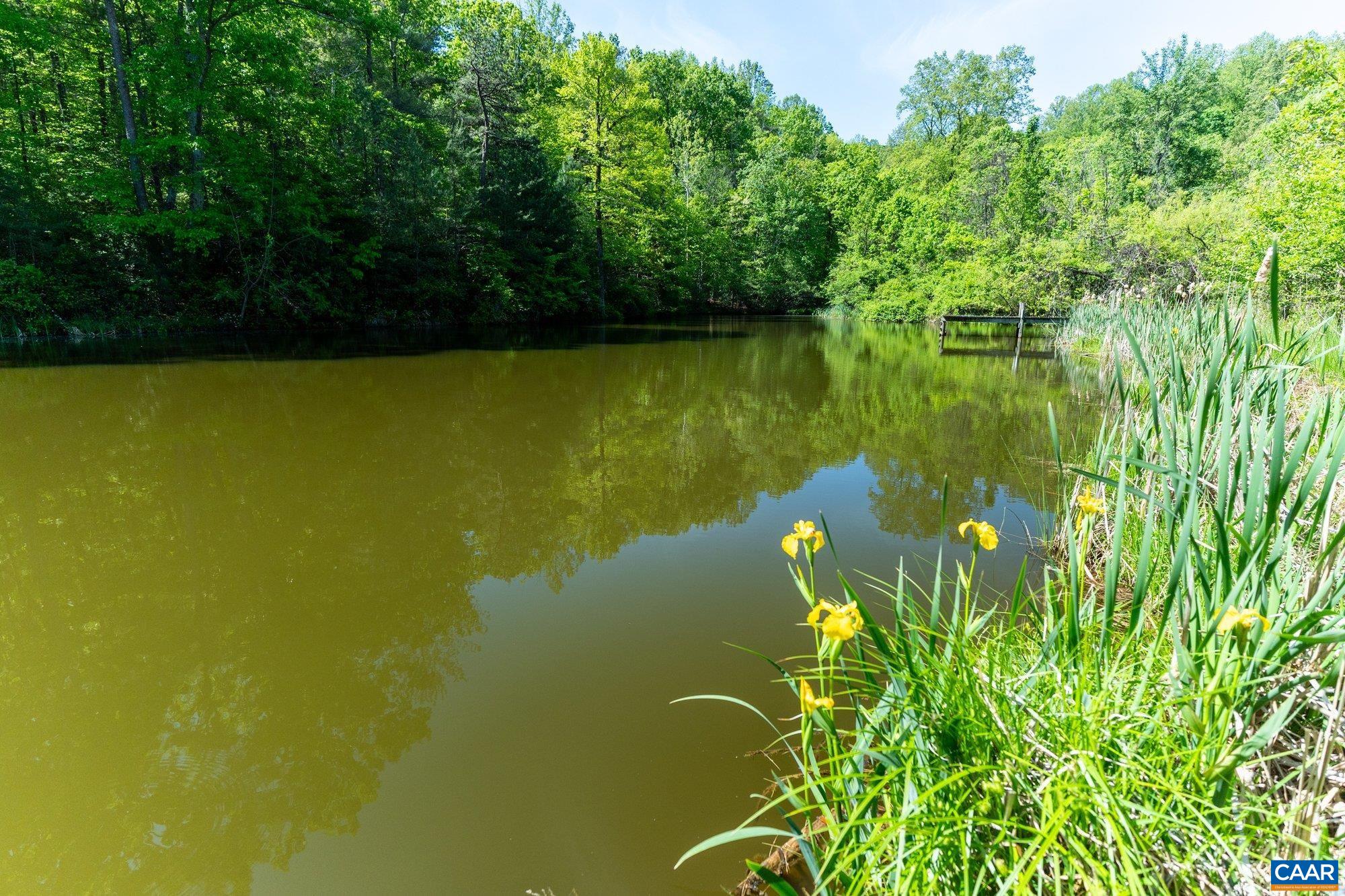 2255 BOONESVILLE RD, DYKE, Virginia 22935, ,Farm,14,2255 BOONESVILLE RD,676749 MLS # 676749