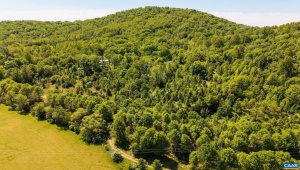 2255 BOONESVILLE RD DYKE Virginia 22935