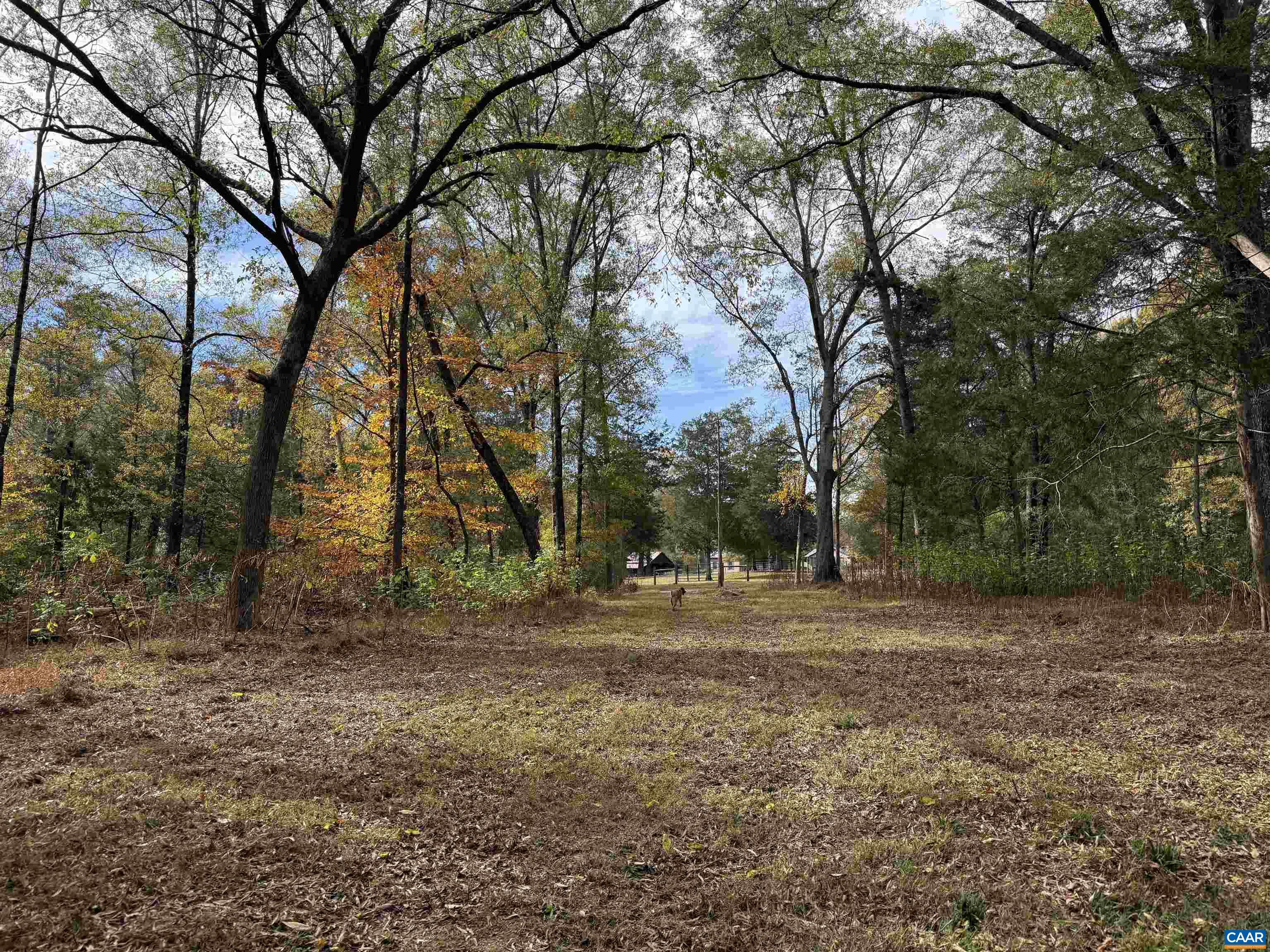 0 BRIDGEPORT RD, ARVONIA, Virginia 23004, ,Land,14,0 BRIDGEPORT RD,676804 MLS # 676804