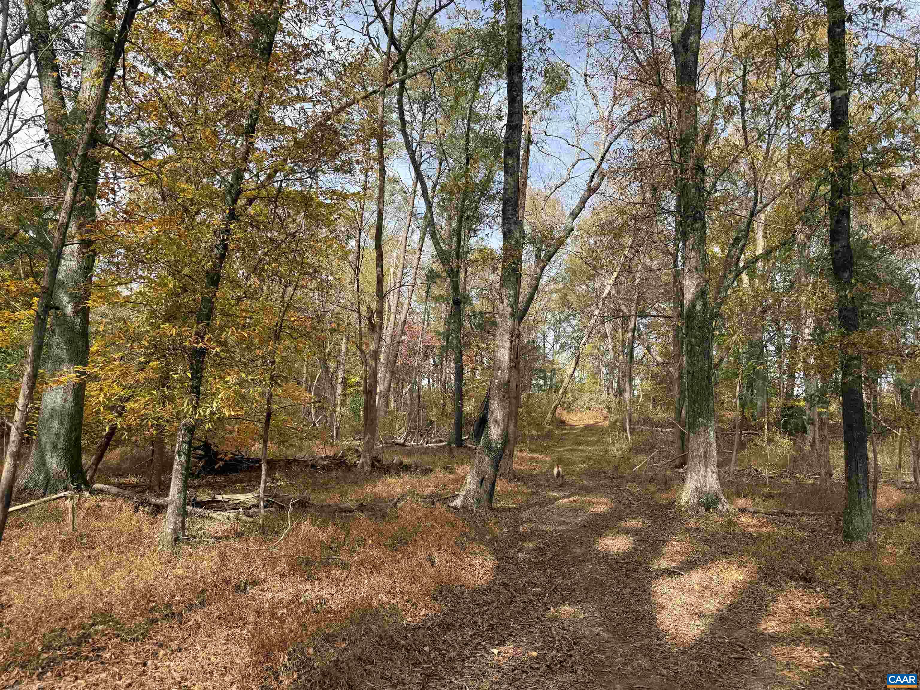 0 BRIDGEPORT RD, ARVONIA, Virginia 23004, ,Land,14,0 BRIDGEPORT RD,676804 MLS # 676804