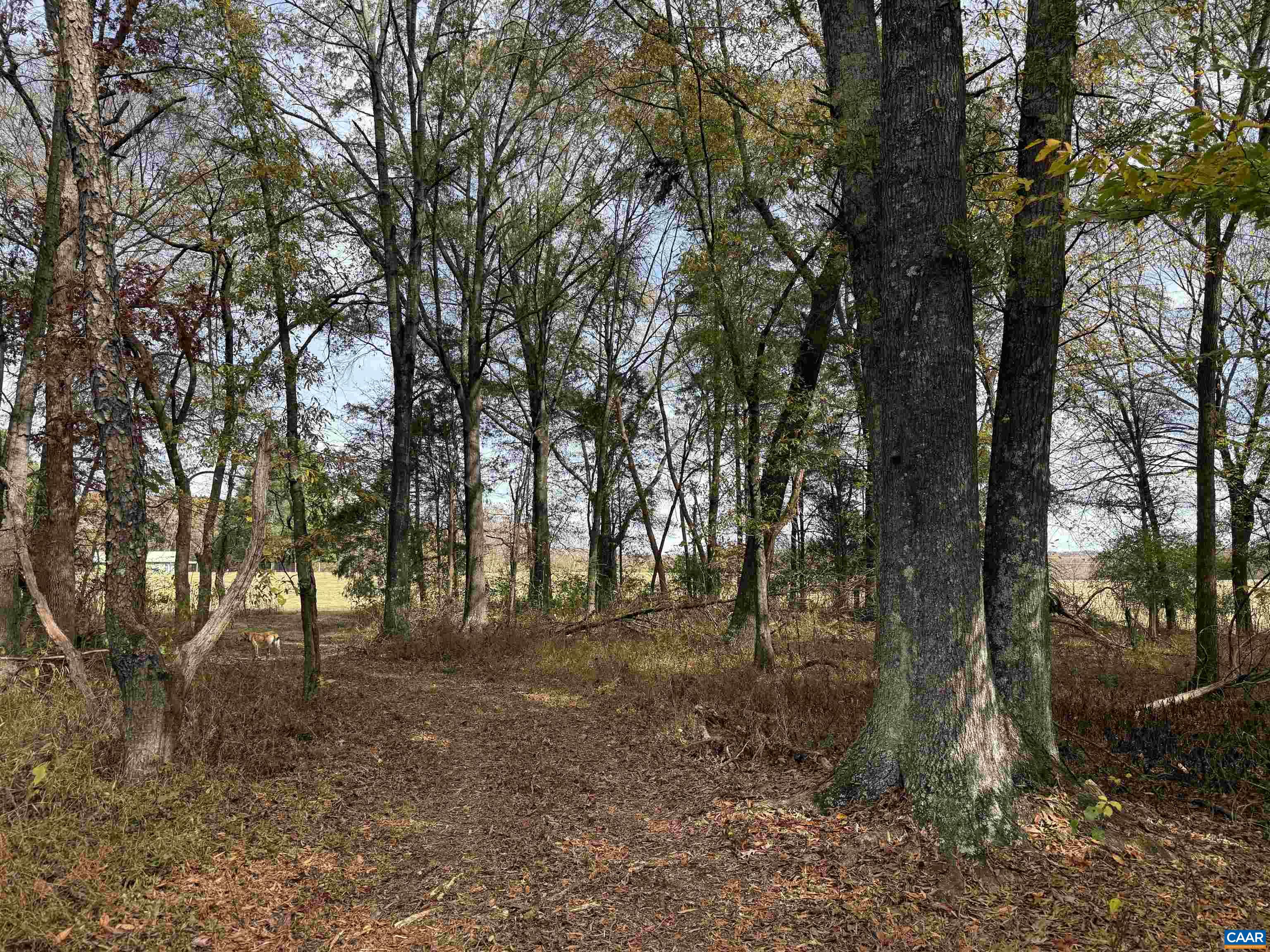 0 BRIDGEPORT RD, ARVONIA, Virginia 23004, ,Land,14,0 BRIDGEPORT RD,676804 MLS # 676804