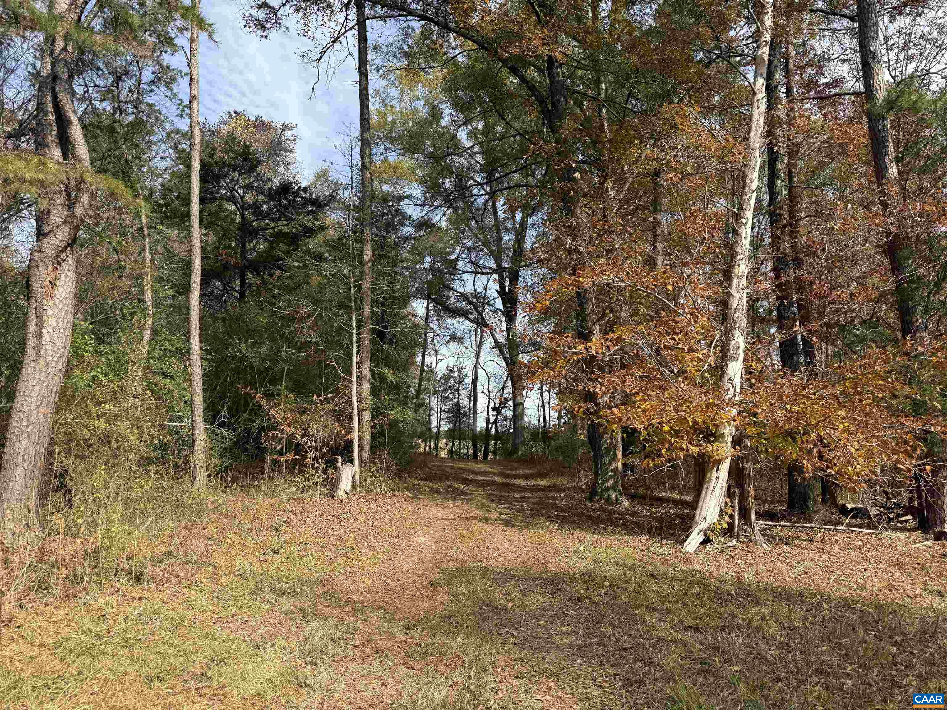 0 BRIDGEPORT RD, ARVONIA, Virginia 23004, ,Land,14,0 BRIDGEPORT RD,676804 MLS # 676804