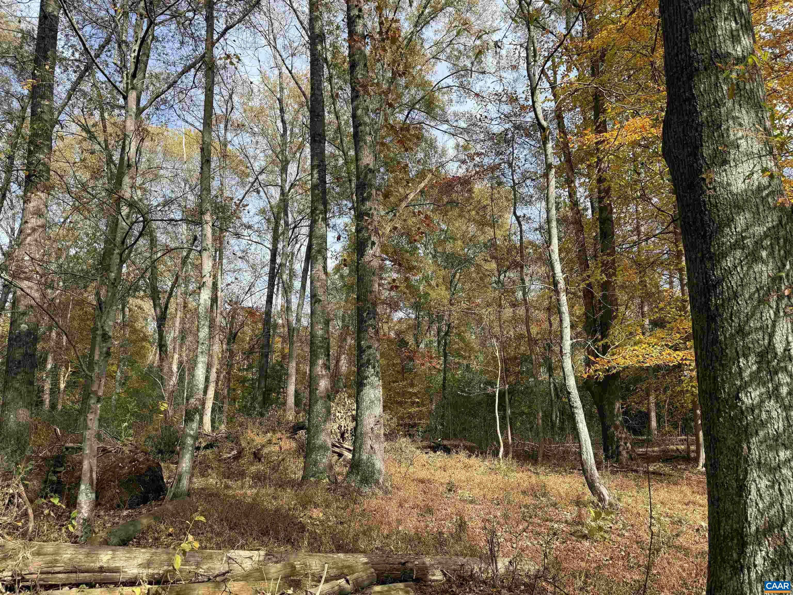0 BRIDGEPORT RD, ARVONIA, Virginia 23004, ,Land,14,0 BRIDGEPORT RD,676804 MLS # 676804