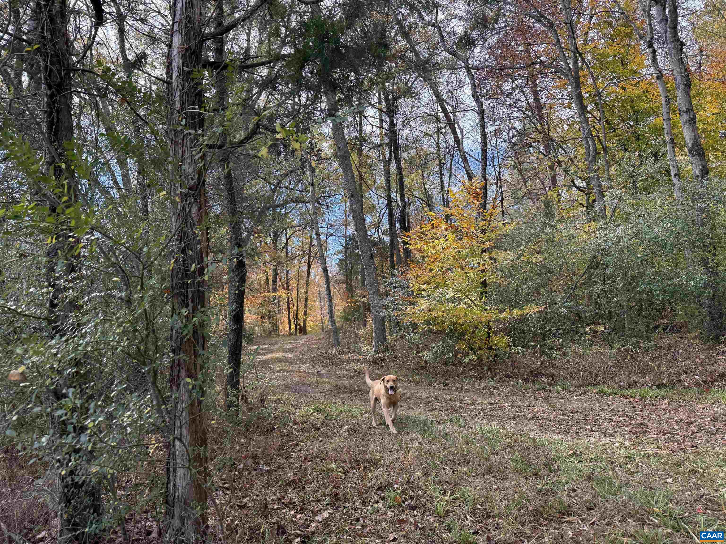 0 BRIDGEPORT RD, ARVONIA, Virginia 23004, ,Land,14,0 BRIDGEPORT RD,676804 MLS # 676804