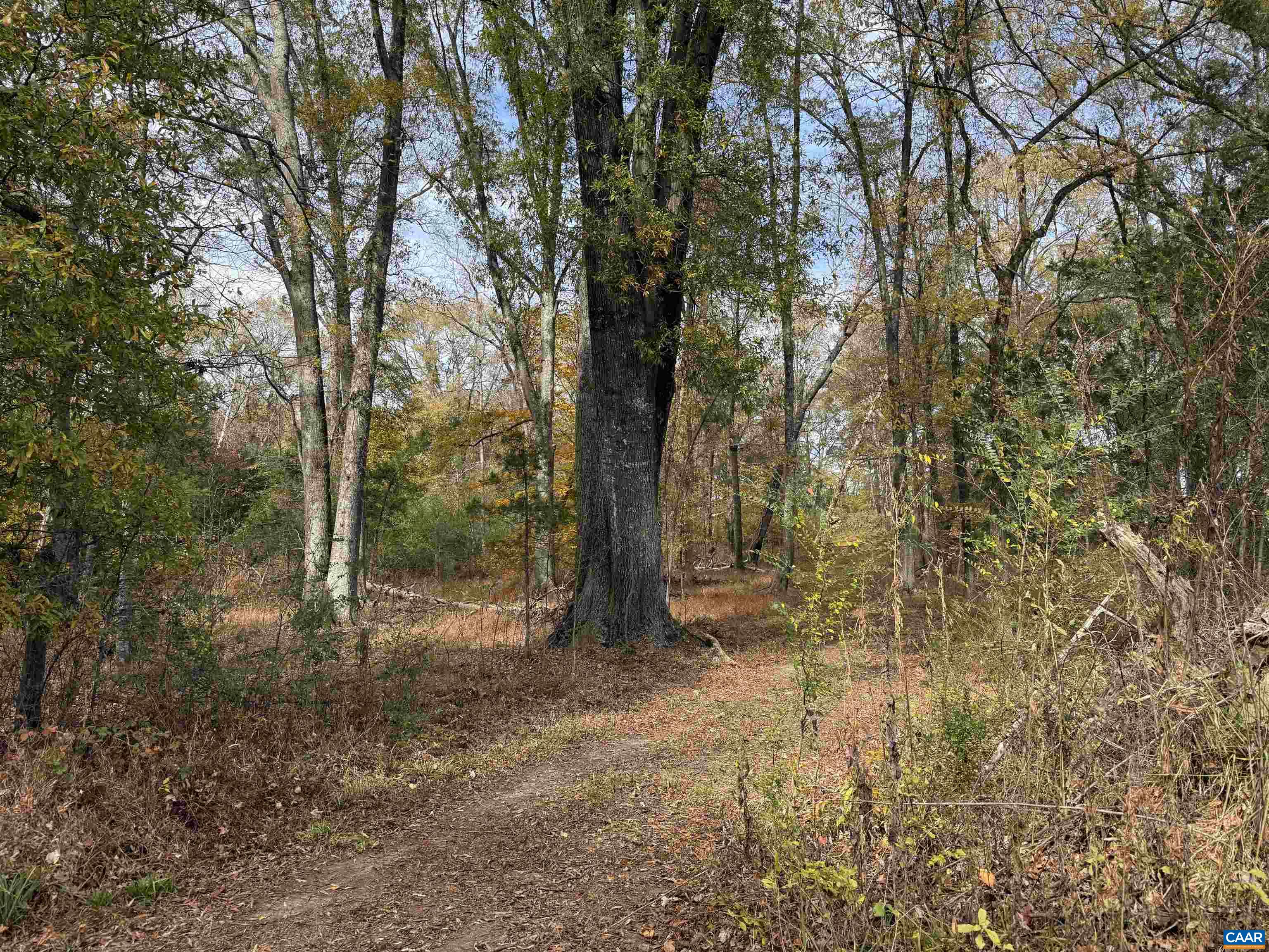 0 BRIDGEPORT RD, ARVONIA, Virginia 23004, ,Land,14,0 BRIDGEPORT RD,676804 MLS # 676804