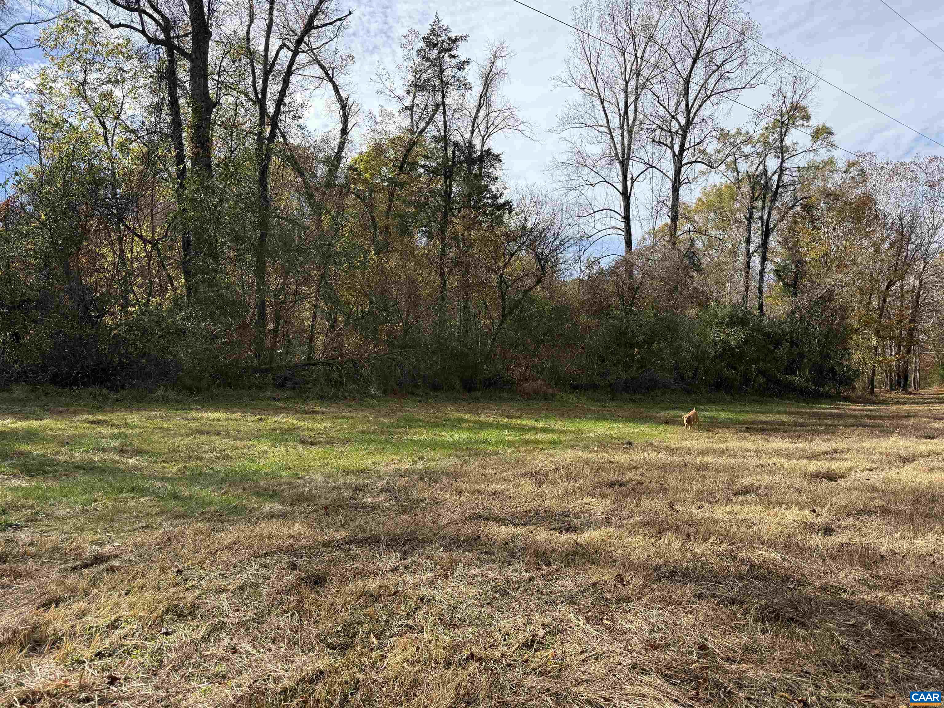 0 BRIDGEPORT RD, ARVONIA, Virginia 23004, ,Land,14,0 BRIDGEPORT RD,676804 MLS # 676804