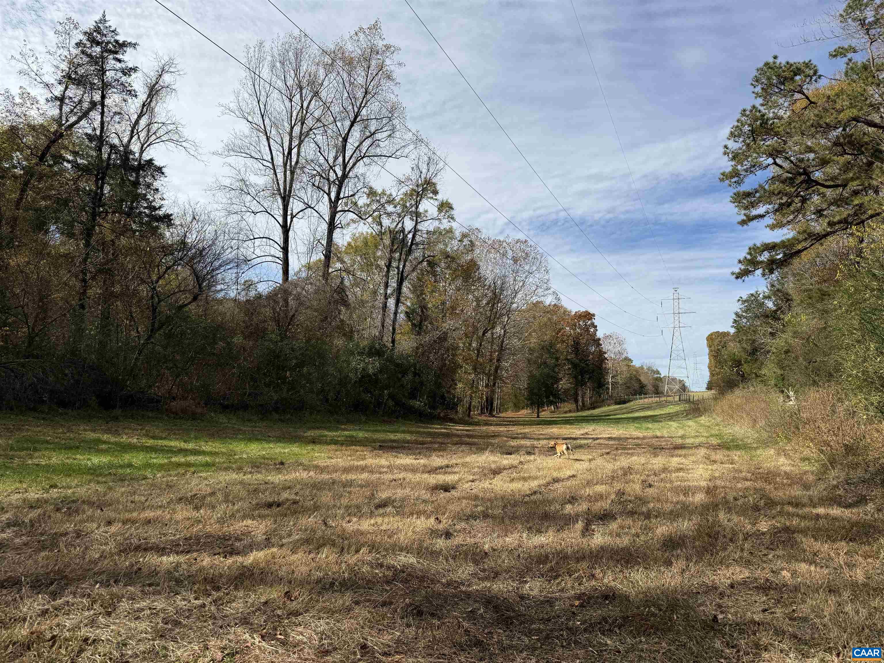 0 BRIDGEPORT RD, ARVONIA, Virginia 23004, ,Land,14,0 BRIDGEPORT RD,676804 MLS # 676804