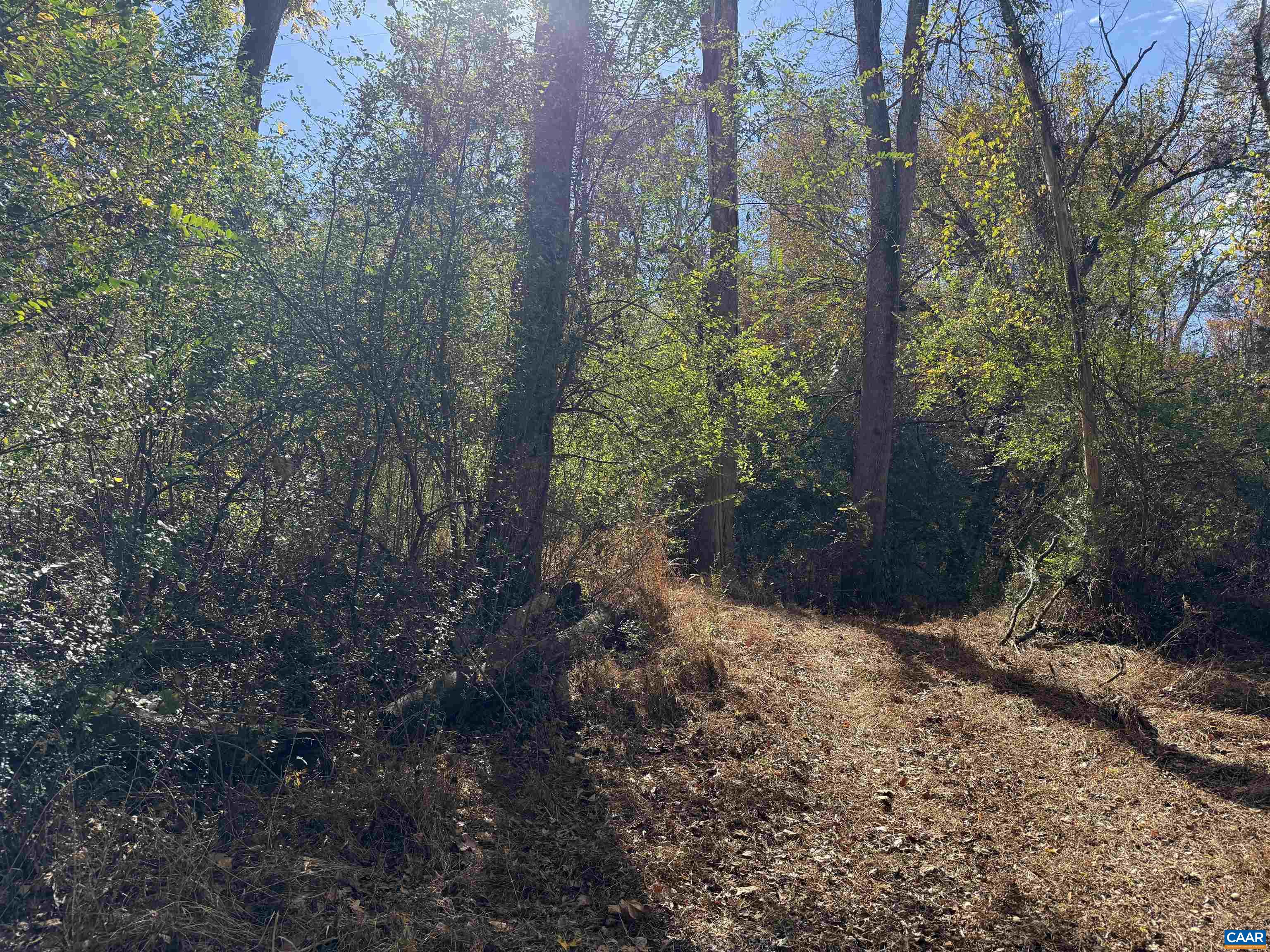 0 BRIDGEPORT RD, ARVONIA, Virginia 23004, ,Land,14,0 BRIDGEPORT RD,676804 MLS # 676804
