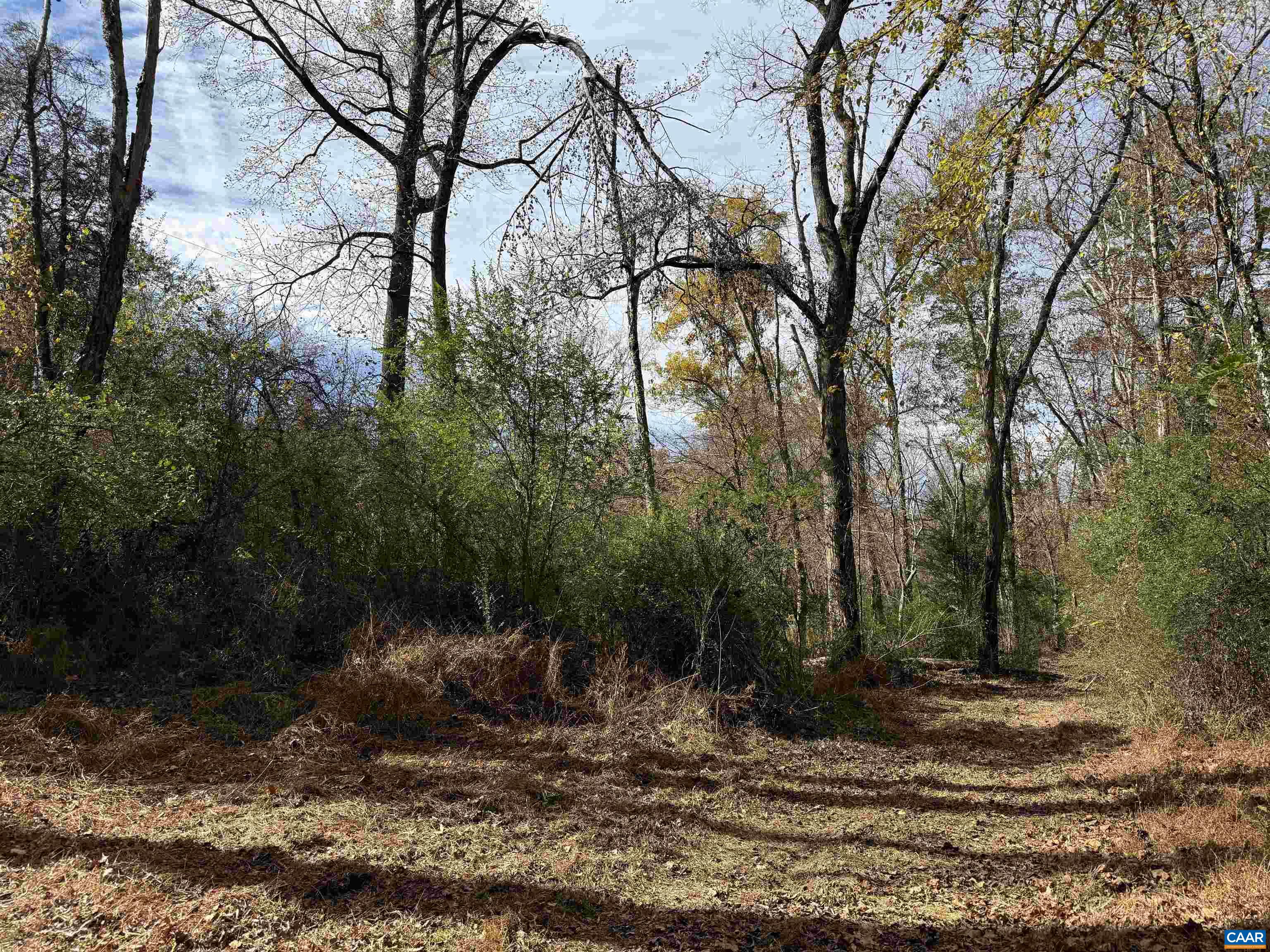 0 BRIDGEPORT RD, ARVONIA, Virginia 23004, ,Land,14,0 BRIDGEPORT RD,676804 MLS # 676804