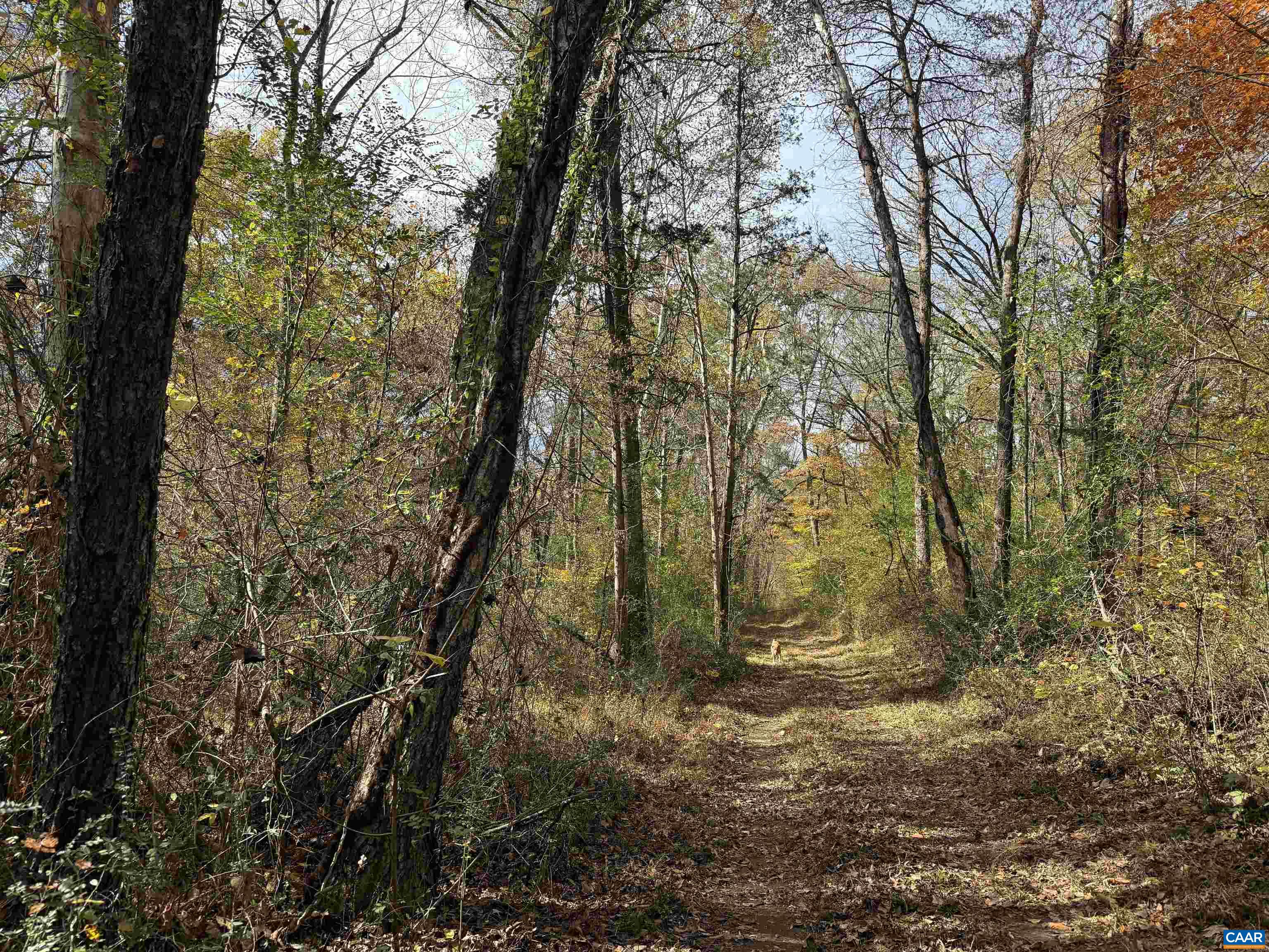 0 BRIDGEPORT RD, ARVONIA, Virginia 23004, ,Land,14,0 BRIDGEPORT RD,676804 MLS # 676804