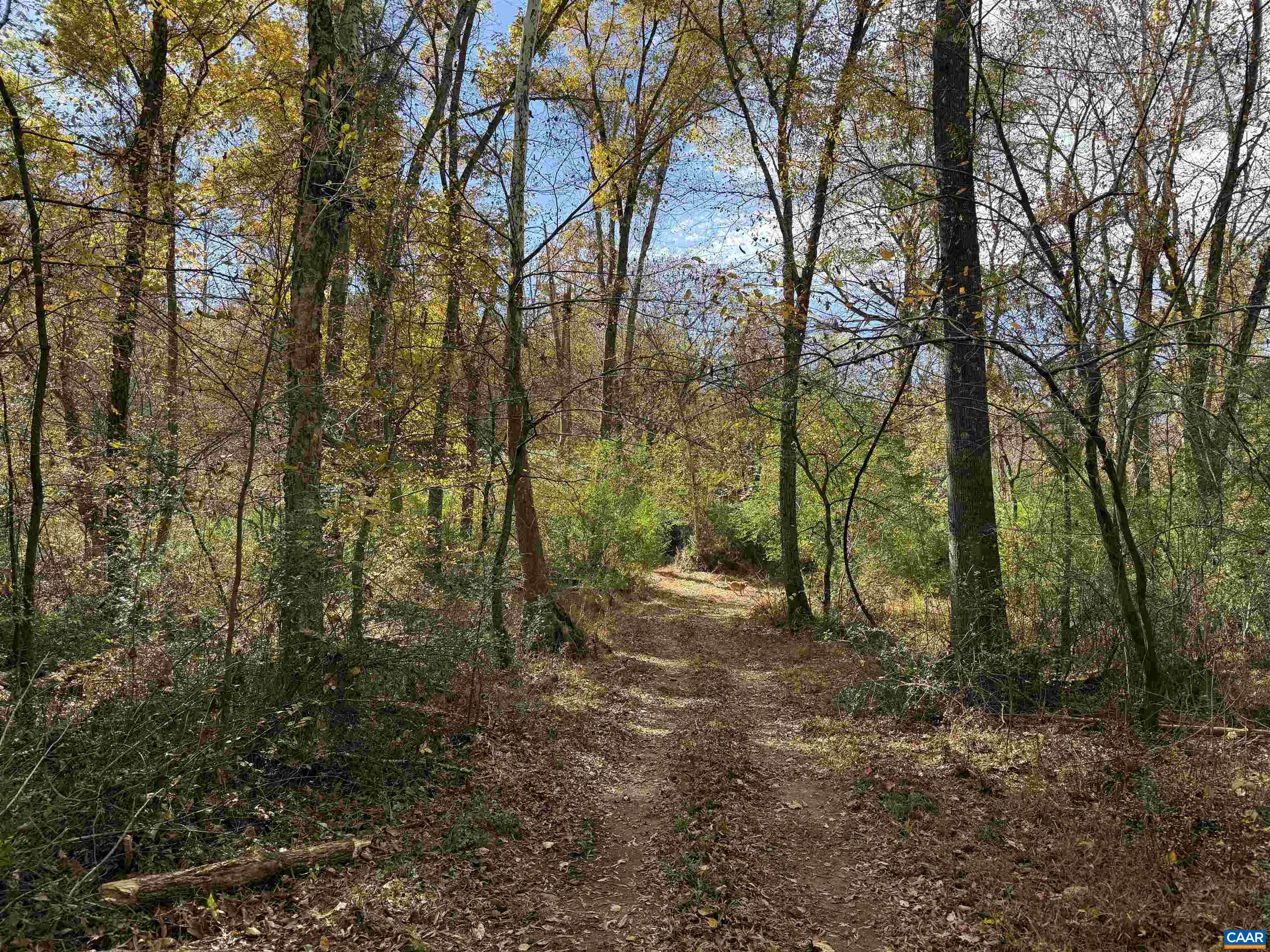 0 BRIDGEPORT RD, ARVONIA, Virginia 23004, ,Land,14,0 BRIDGEPORT RD,676804 MLS # 676804