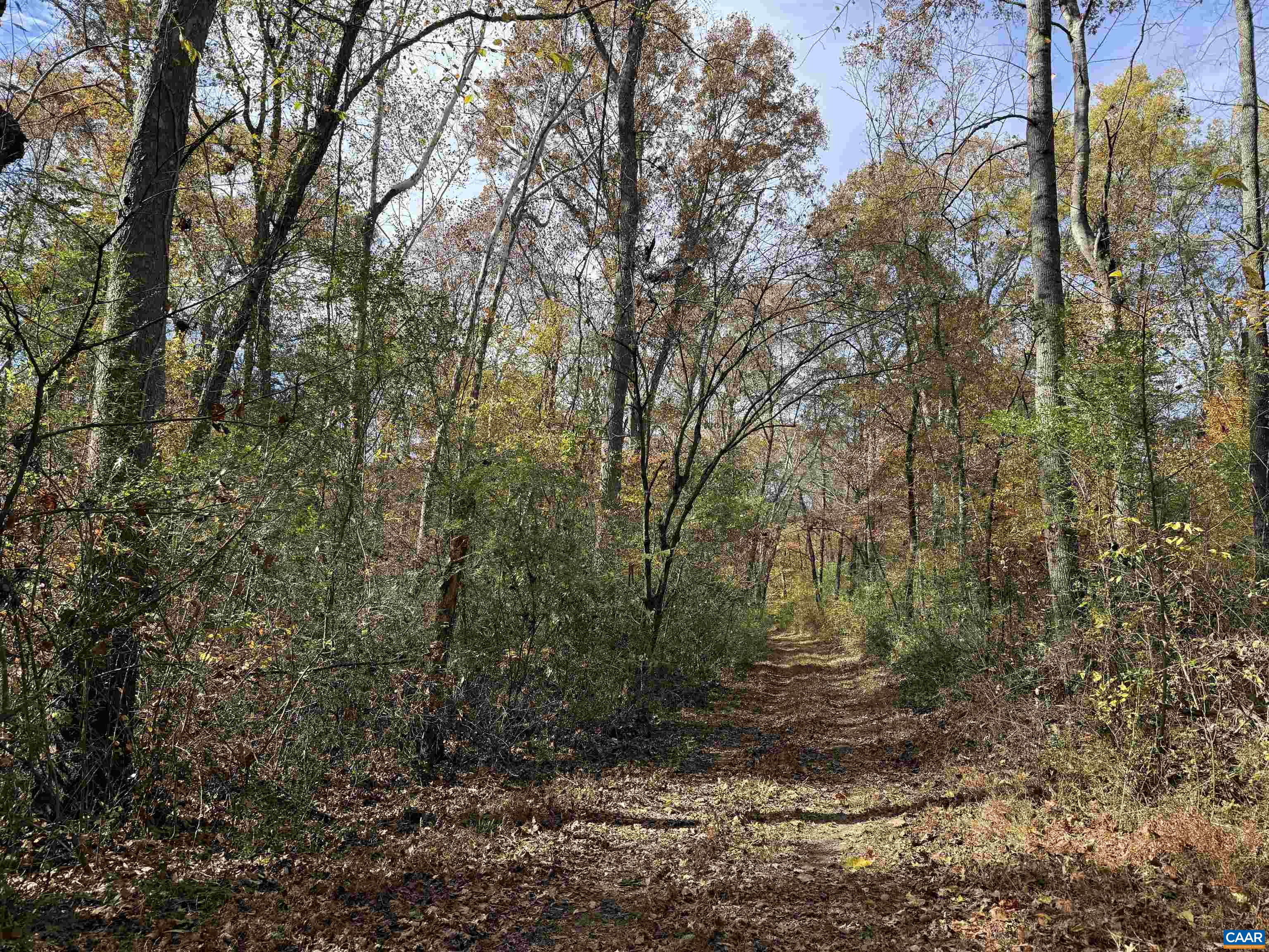 0 BRIDGEPORT RD, ARVONIA, Virginia 23004, ,Land,14,0 BRIDGEPORT RD,676804 MLS # 676804