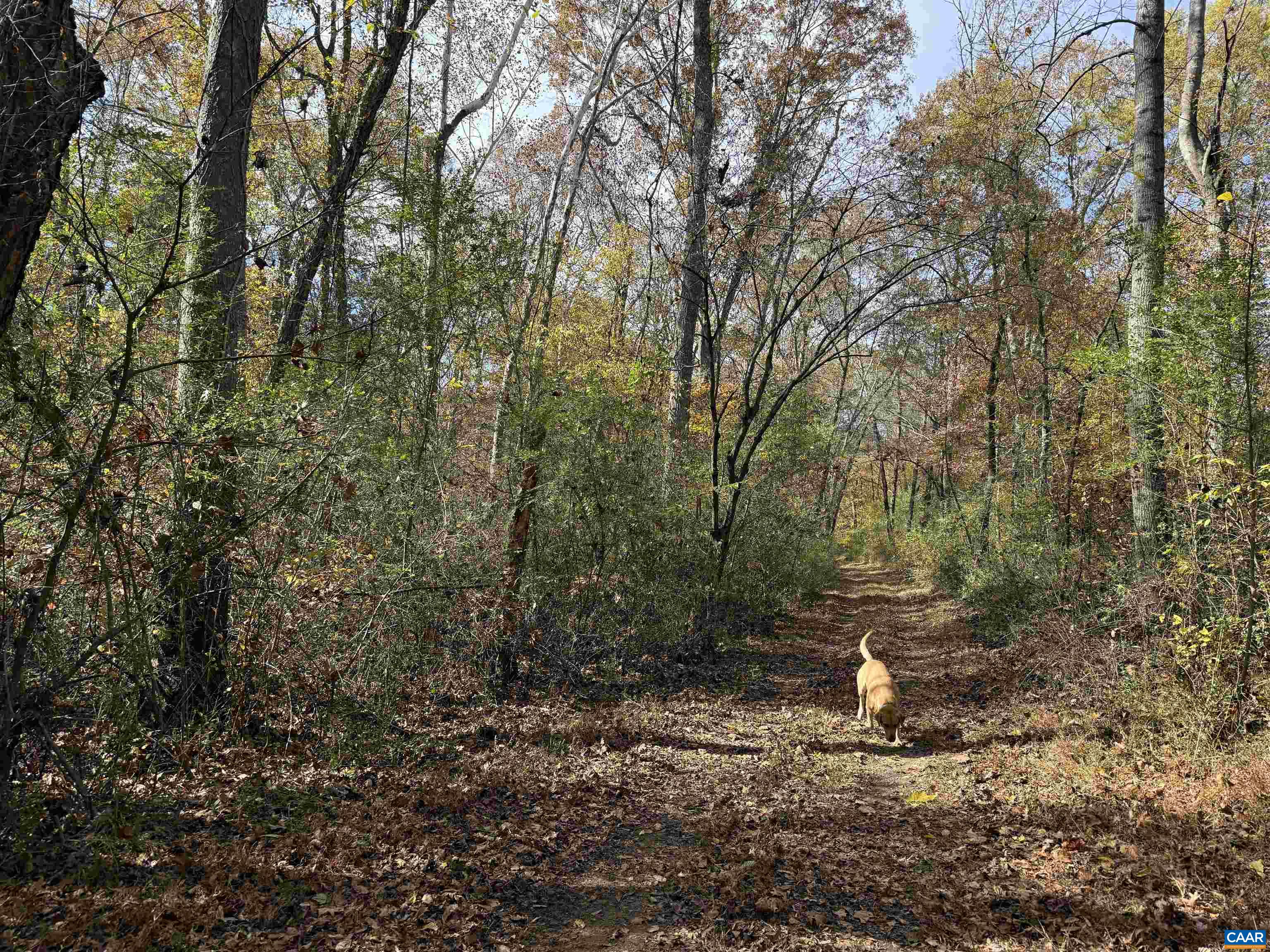 0 BRIDGEPORT RD, ARVONIA, Virginia 23004, ,Land,14,0 BRIDGEPORT RD,676804 MLS # 676804