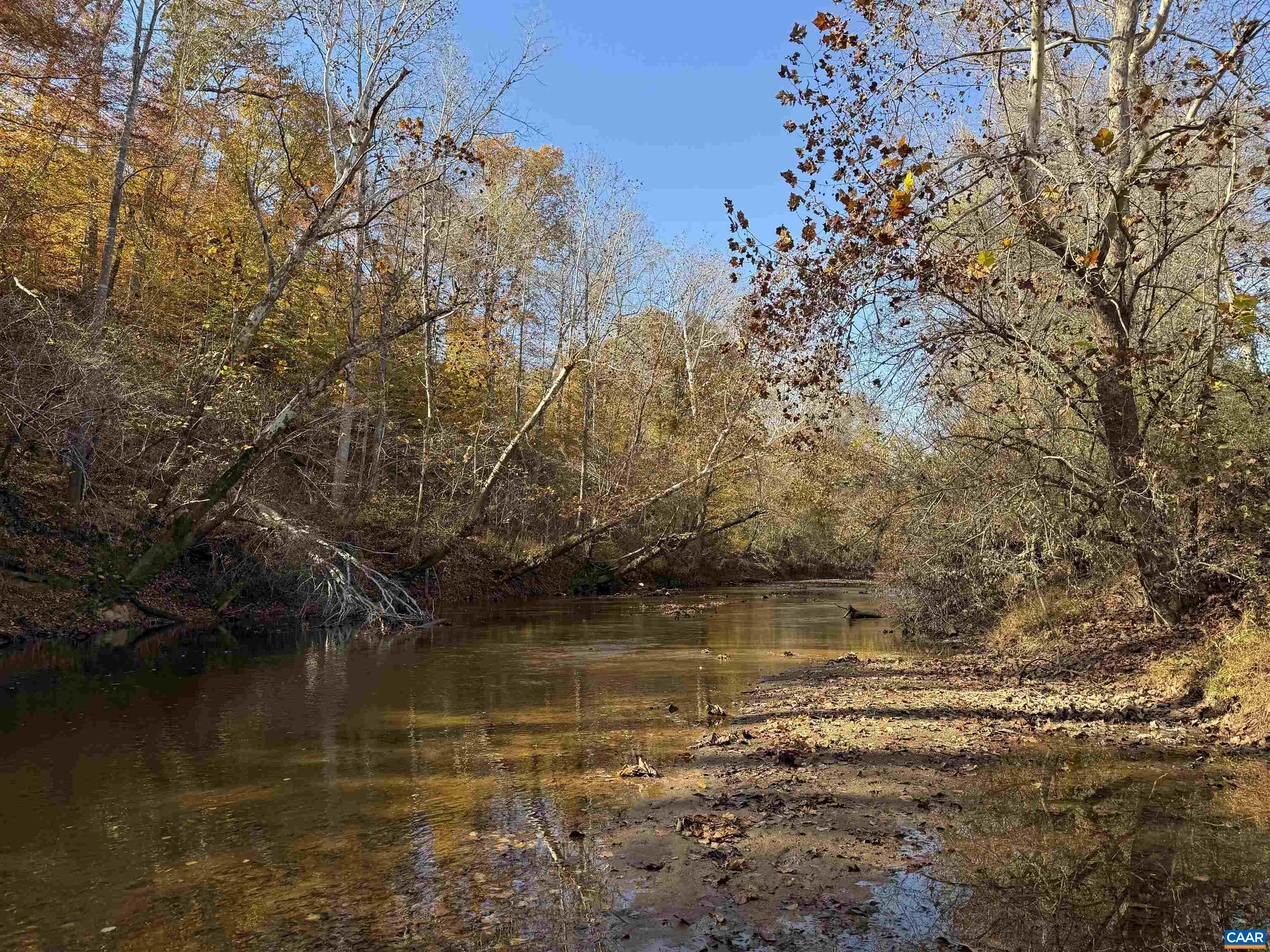 0 BRIDGEPORT RD, ARVONIA, Virginia 23004, ,Land,14,0 BRIDGEPORT RD,676804 MLS # 676804
