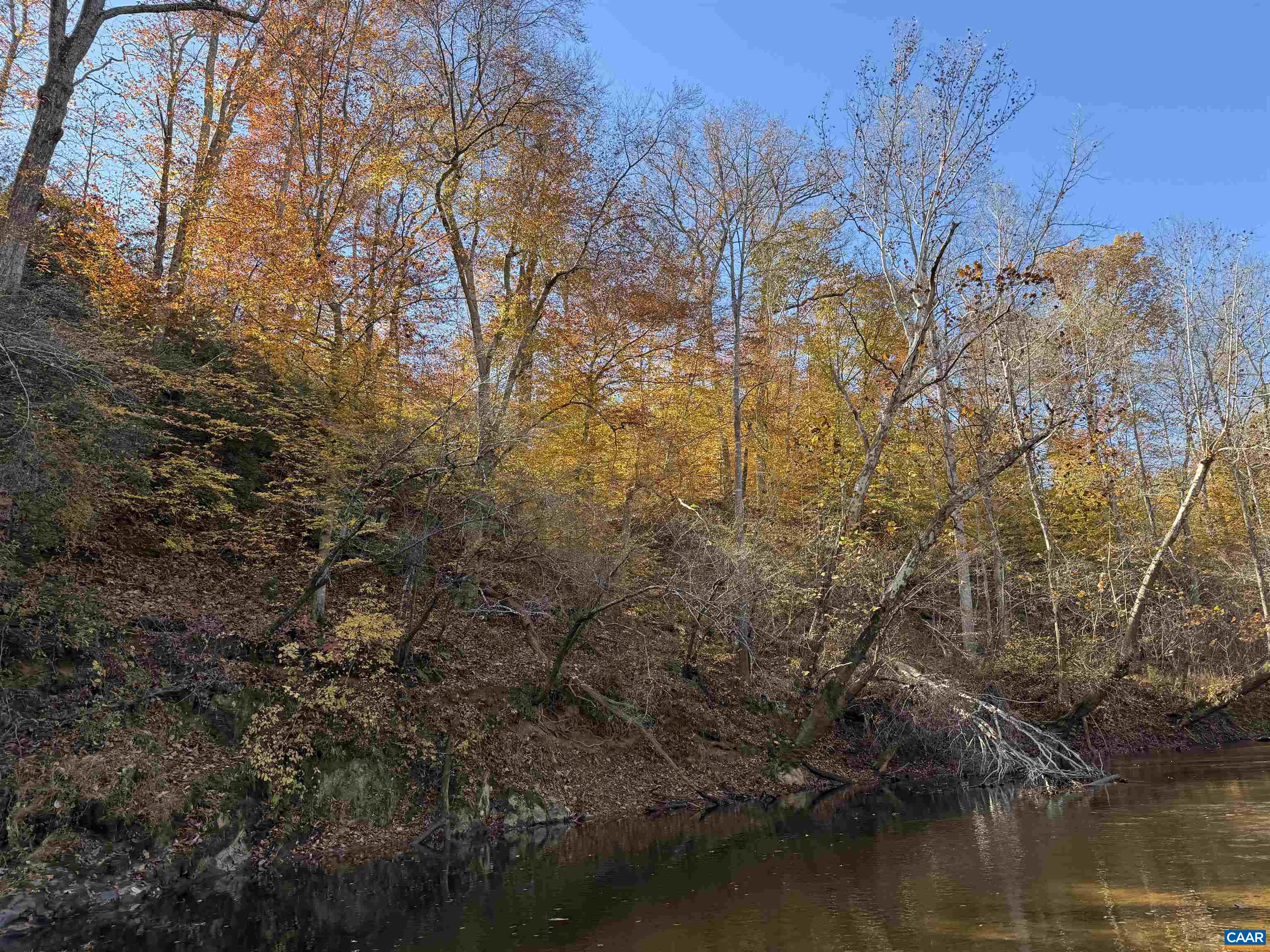0 BRIDGEPORT RD, ARVONIA, Virginia 23004, ,Land,14,0 BRIDGEPORT RD,676804 MLS # 676804