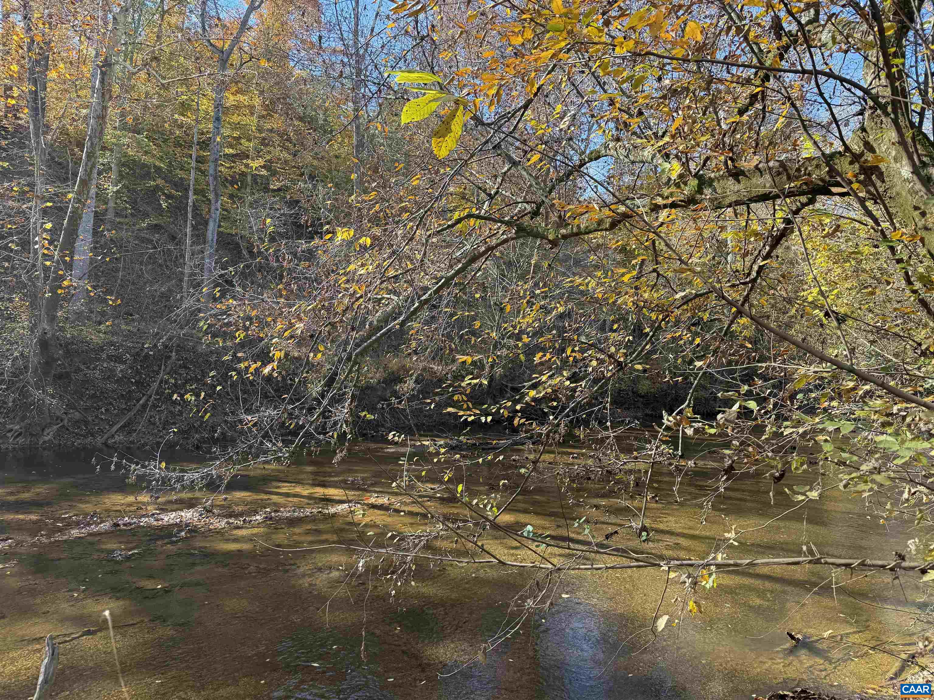 0 BRIDGEPORT RD, ARVONIA, Virginia 23004, ,Land,14,0 BRIDGEPORT RD,676804 MLS # 676804