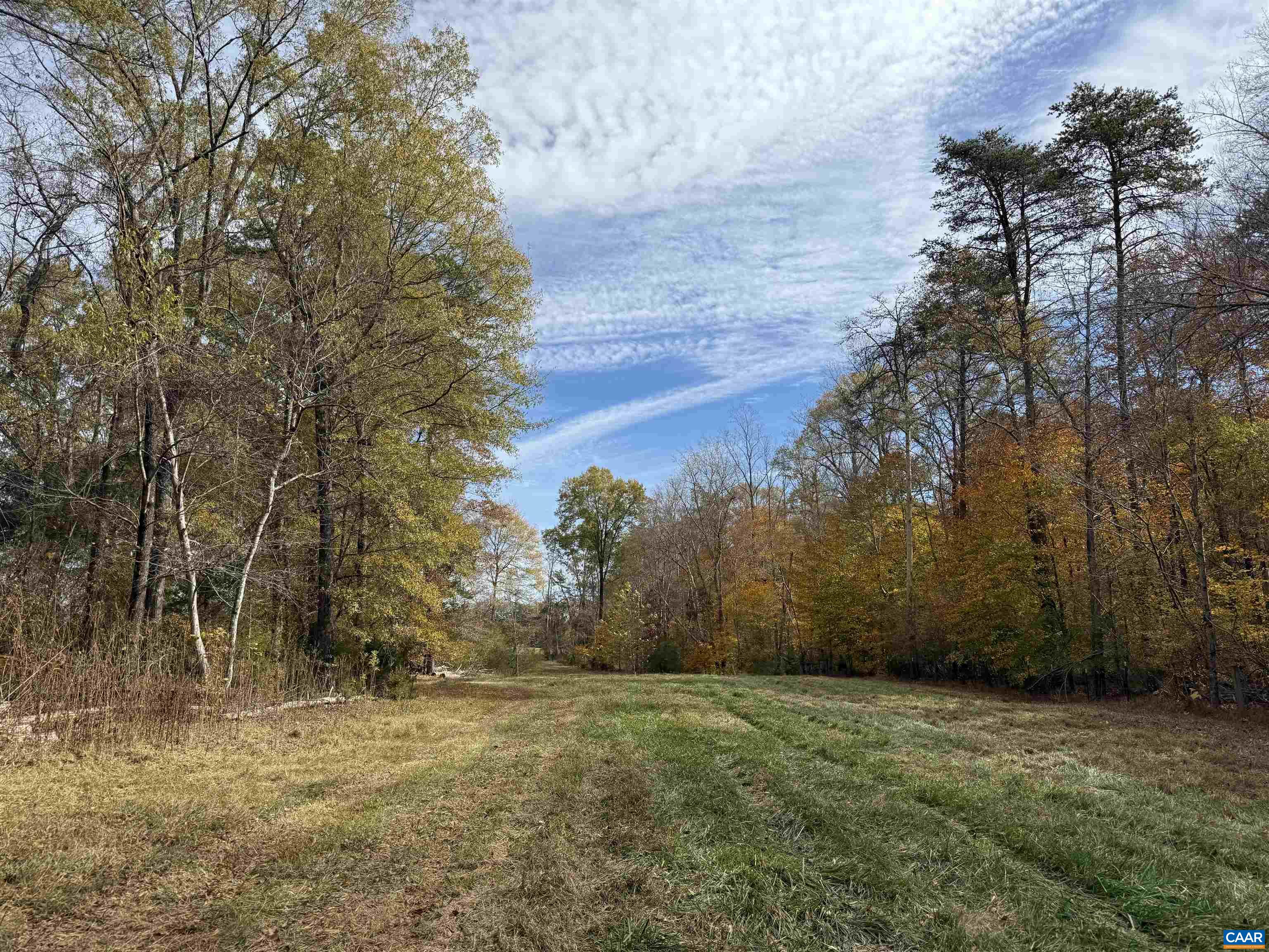 0 BRIDGEPORT RD, ARVONIA, Virginia 23004, ,Land,14,0 BRIDGEPORT RD,676804 MLS # 676804