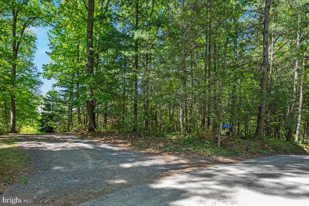 146 LIZZIE MILLS RD, CASTLETON, Virginia 22716, 3 Bedrooms Bedrooms, ,2 BathroomsBathrooms,Residential,14,146 LIZZIE MILLS RD,VARP2002580 MLS # VARP2002580 146 LIZZIE MILLS RD, CASTLETON, Virginia 22716, 3 Bedrooms Bedrooms, ,2 BathroomsBathrooms,Residential,14,146 LIZZIE MILLS RD,VARP2002580 MLS # VARP2002580