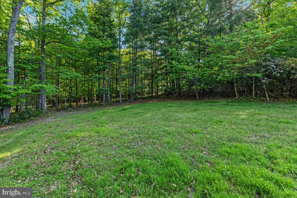 146 LIZZIE MILLS RD, CASTLETON, Virginia 22716, 3 Bedrooms Bedrooms, ,2 BathroomsBathrooms,Residential,14,146 LIZZIE MILLS RD,VARP2002580 MLS # VARP2002580 146 LIZZIE MILLS RD, CASTLETON, Virginia 22716, 3 Bedrooms Bedrooms, ,2 BathroomsBathrooms,Residential,14,146 LIZZIE MILLS RD,VARP2002580 MLS # VARP2002580