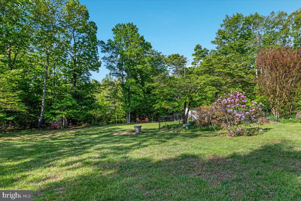 146 LIZZIE MILLS RD, CASTLETON, Virginia 22716, 3 Bedrooms Bedrooms, ,2 BathroomsBathrooms,Residential,14,146 LIZZIE MILLS RD,VARP2002580 MLS # VARP2002580 146 LIZZIE MILLS RD, CASTLETON, Virginia 22716, 3 Bedrooms Bedrooms, ,2 BathroomsBathrooms,Residential,14,146 LIZZIE MILLS RD,VARP2002580 MLS # VARP2002580